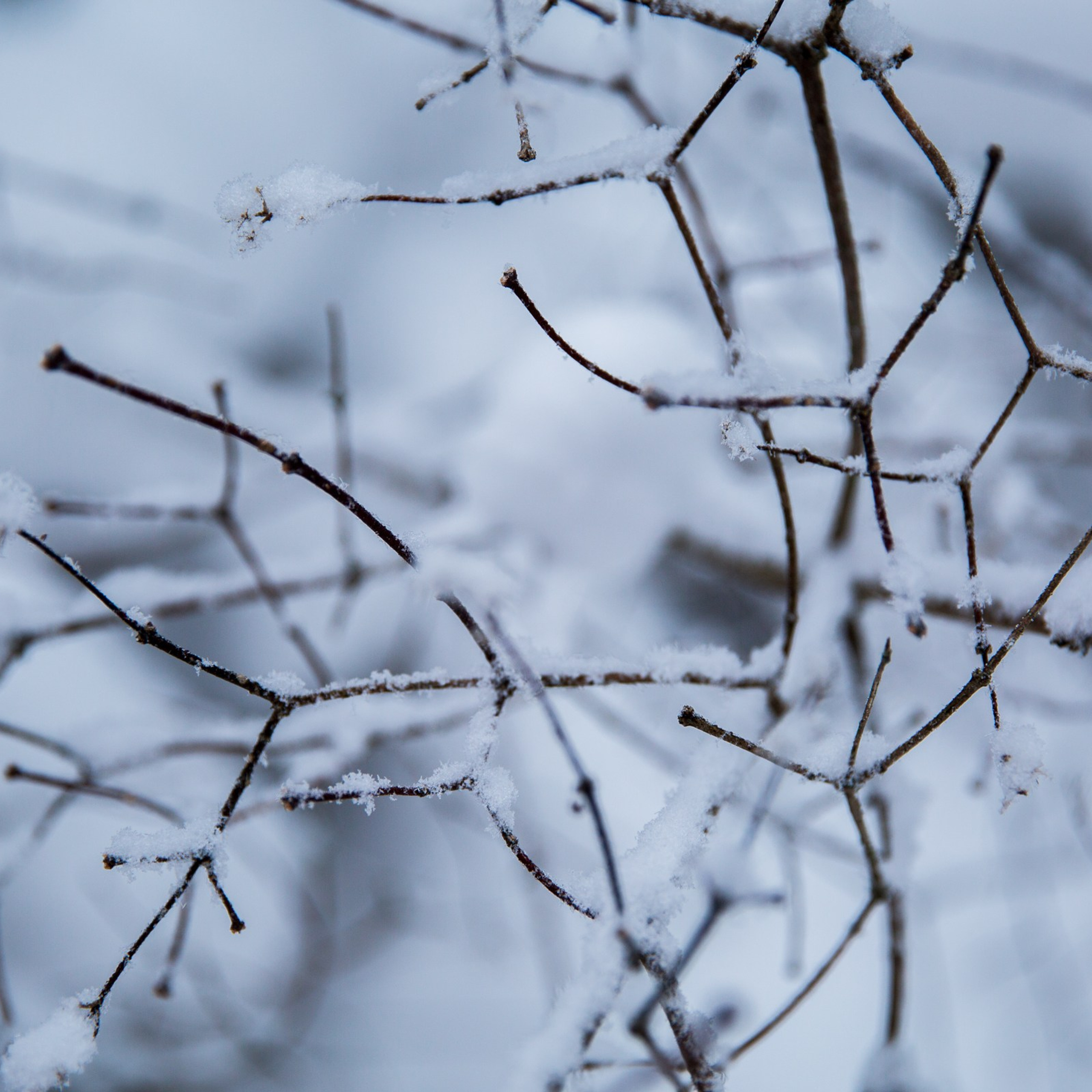 День 24 #адвенткалендарь. Главная