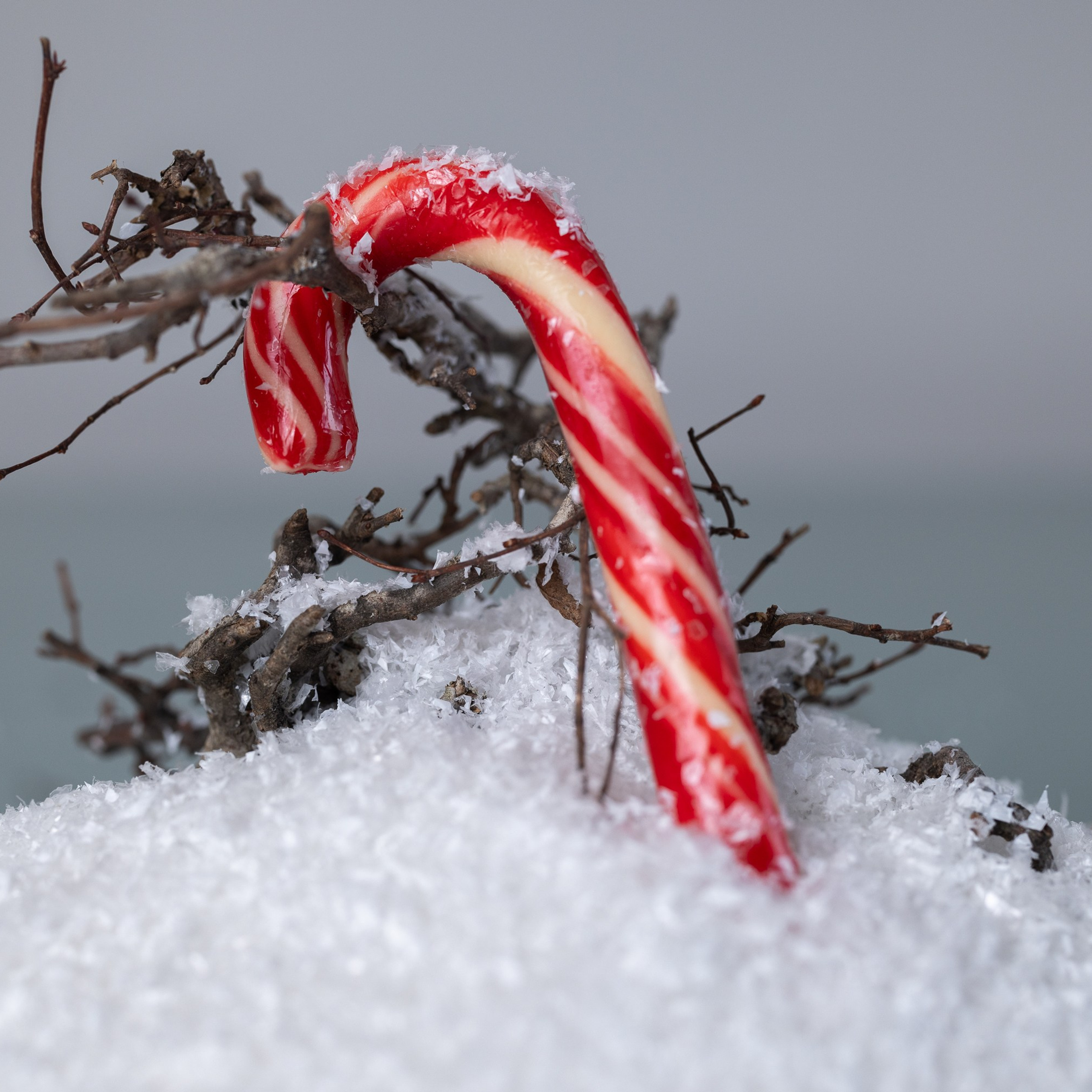 День 13 #адвенткалендарь. Главная