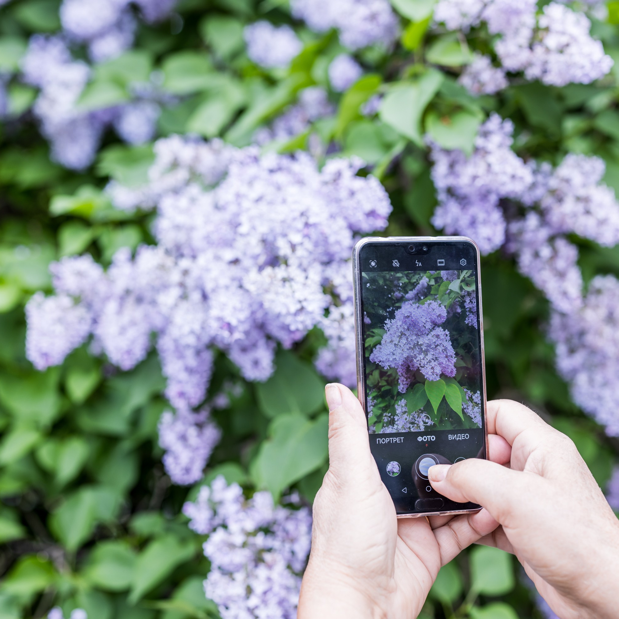 День 13 #адвенткалендарь. Главная