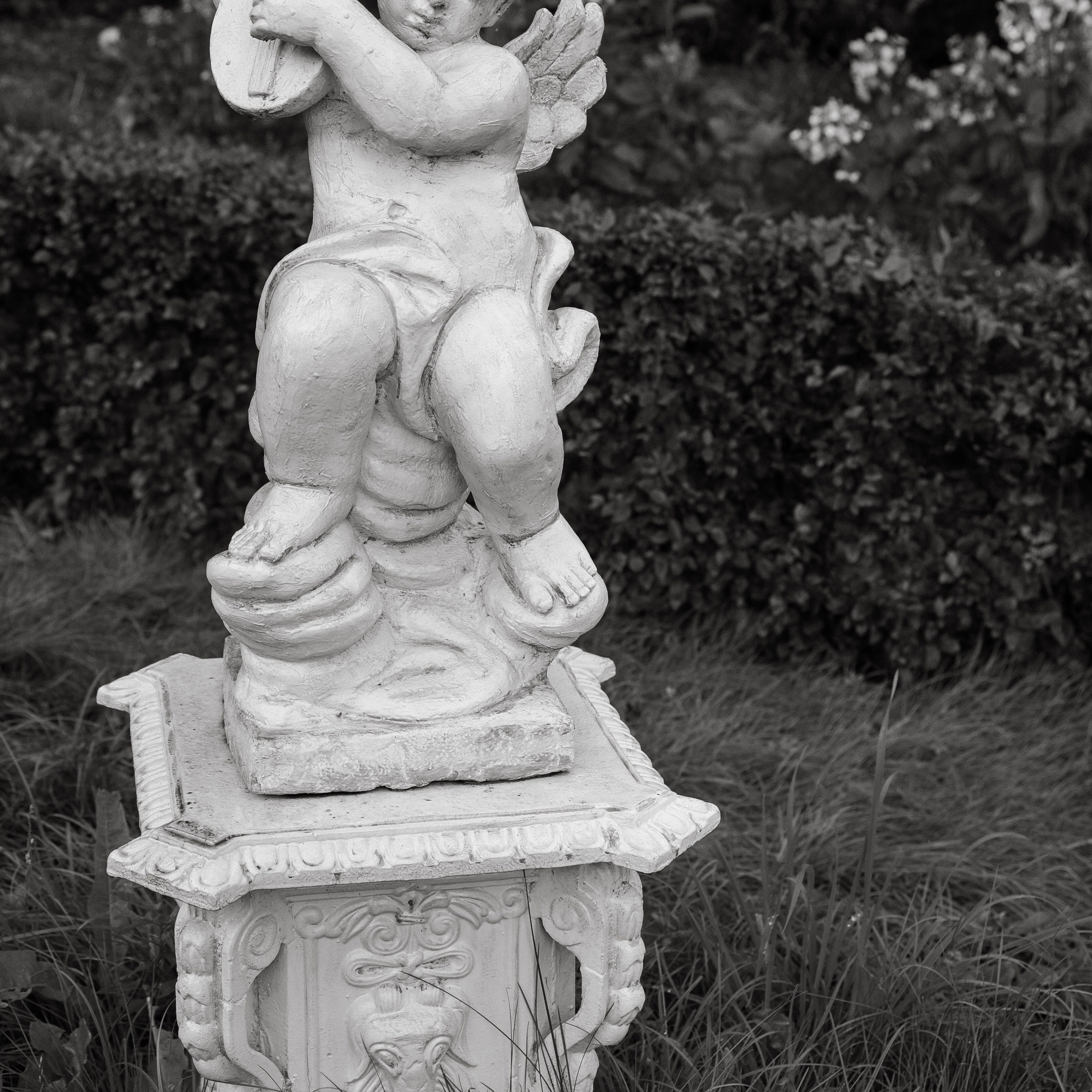 Свадебный фотограф в Севастополе — Виктория Божкова | Портфолио, цены, заказ фотосессии в Крыму