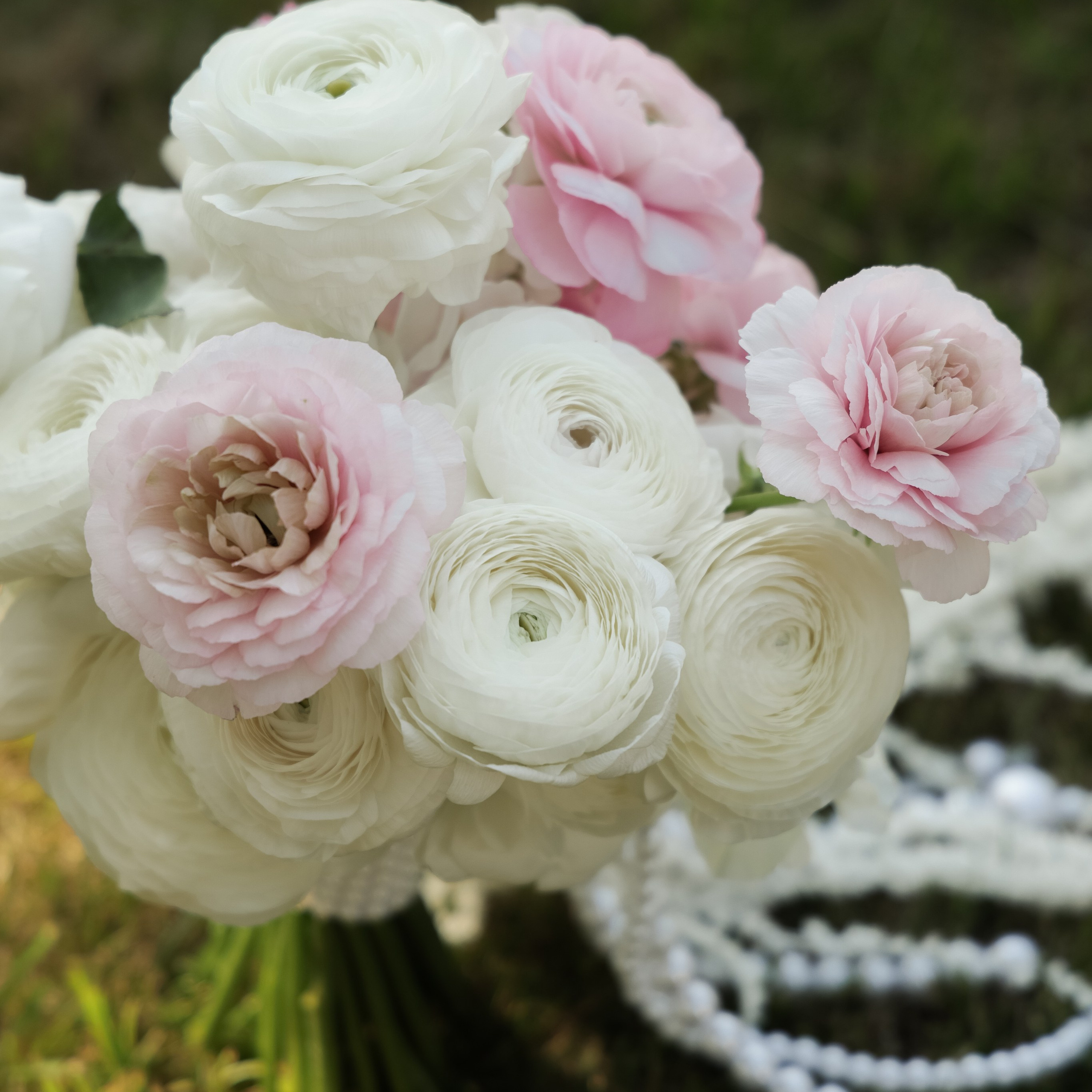 Свадебный фотограф в Севастополе — Виктория Божкова | Портфолио, цены, заказ фотосессии в Крыму