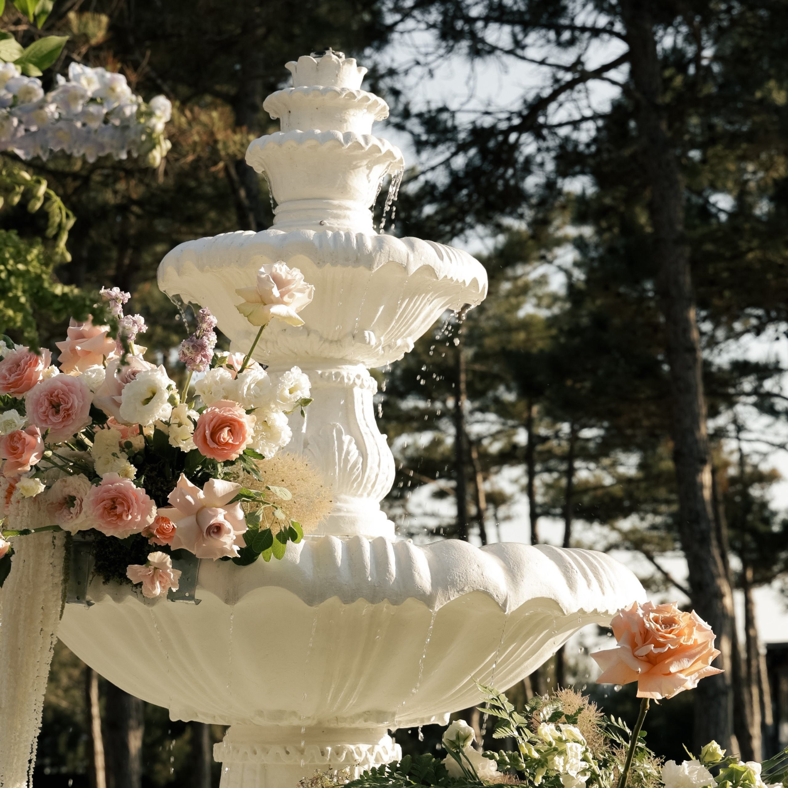 Свадебный фотограф в Севастополе — Виктория Божкова | Портфолио, цены, заказ фотосессии в Крыму