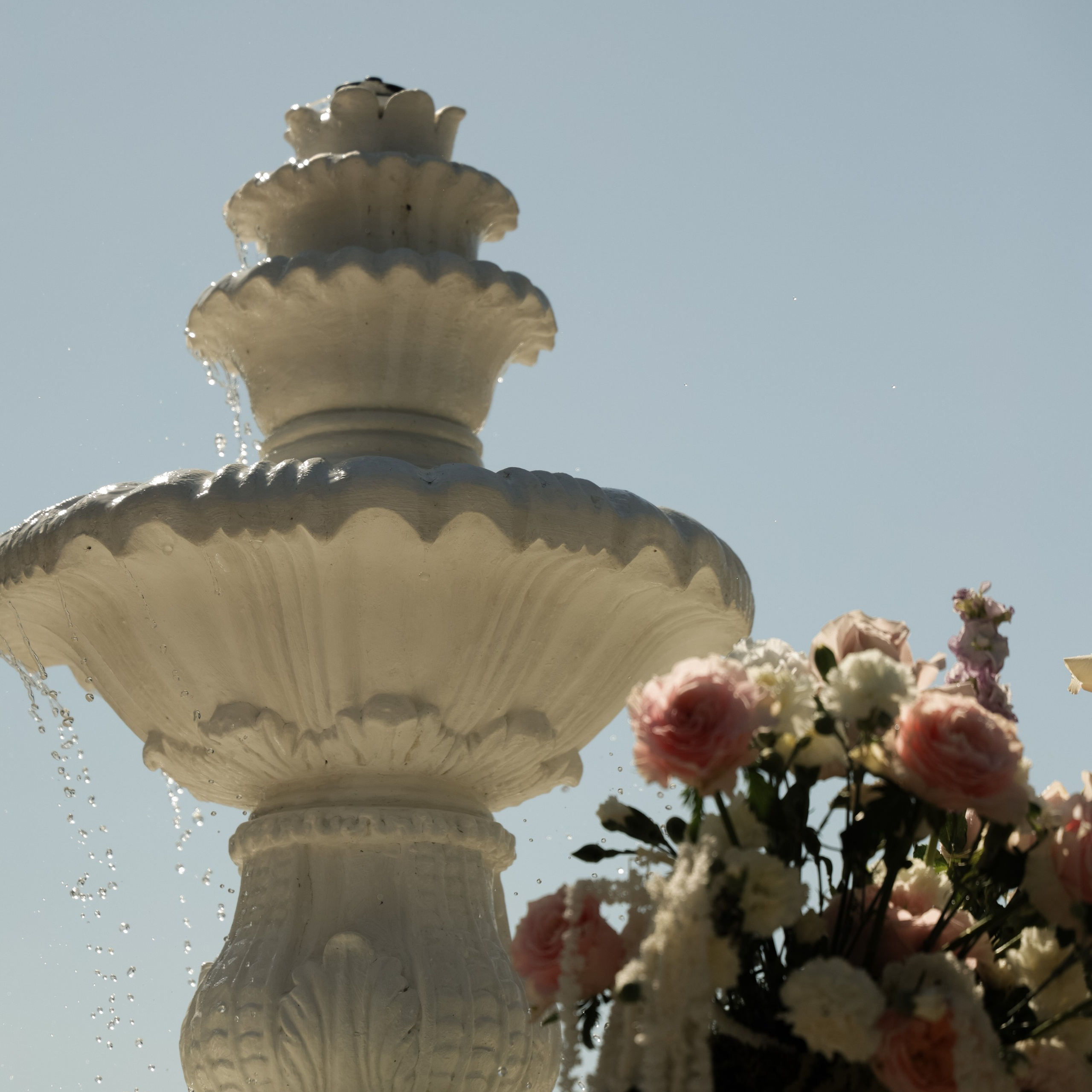 Свадебный фотограф в Севастополе — Виктория Божкова | Портфолио, цены, заказ фотосессии в Крыму