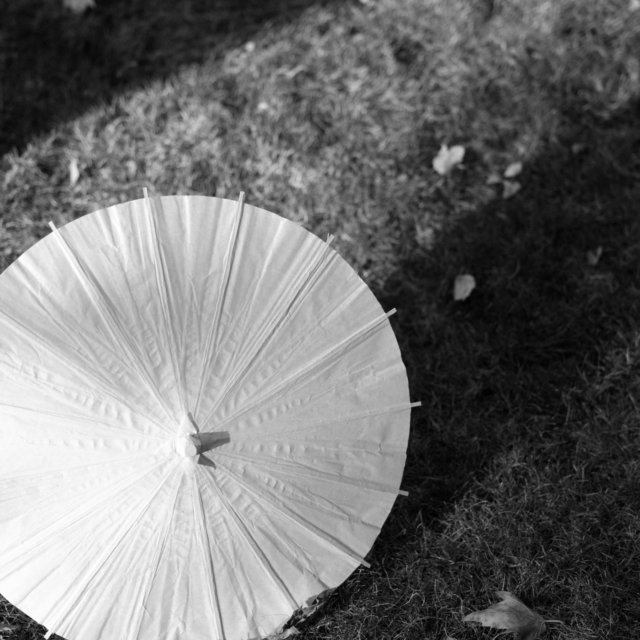 Свадебный фотограф в Севастополе — Виктория Божкова | Портфолио, цены, заказ фотосессии в Крыму