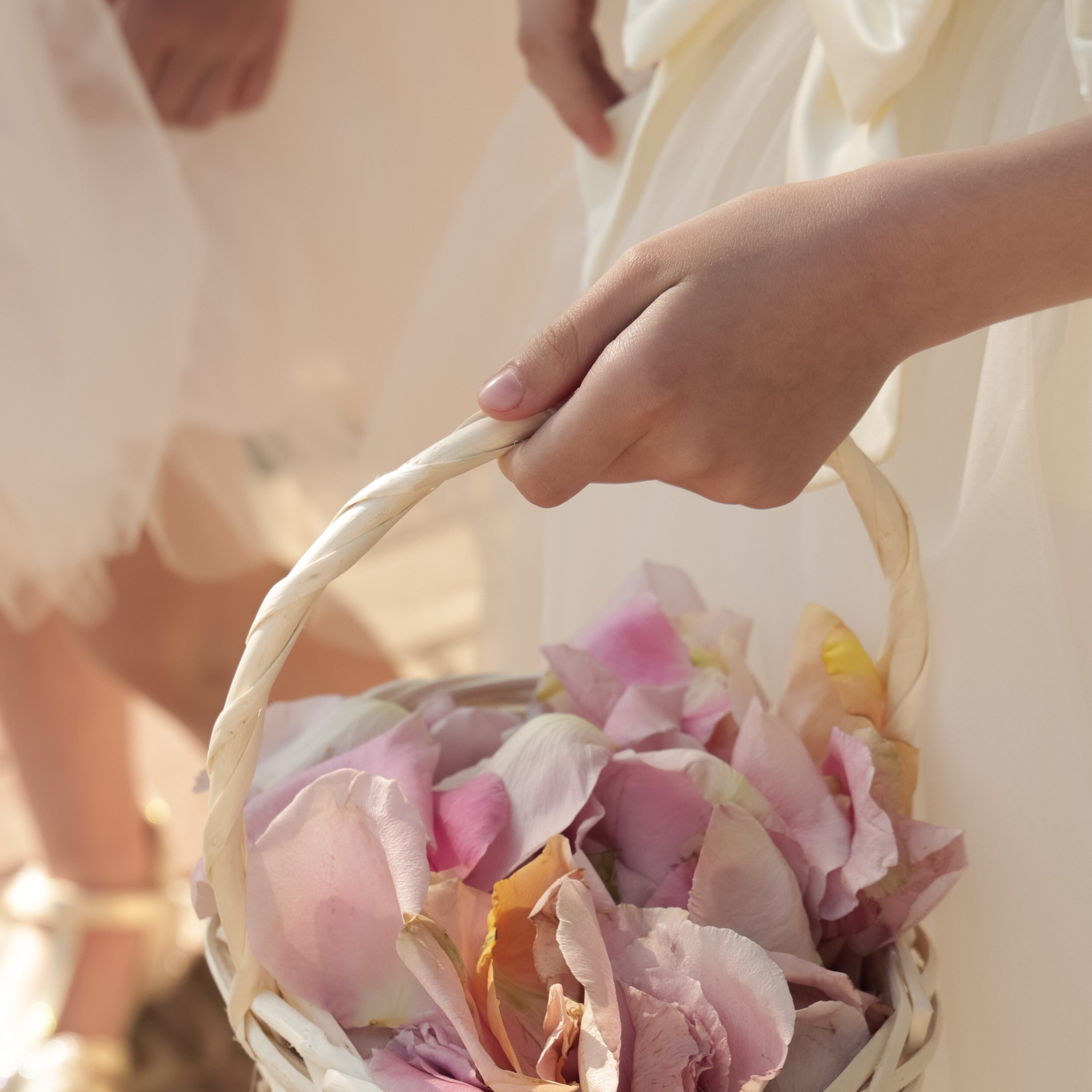 Свадебный фотограф в Севастополе — Виктория Божкова | Портфолио, цены, заказ фотосессии в Крыму