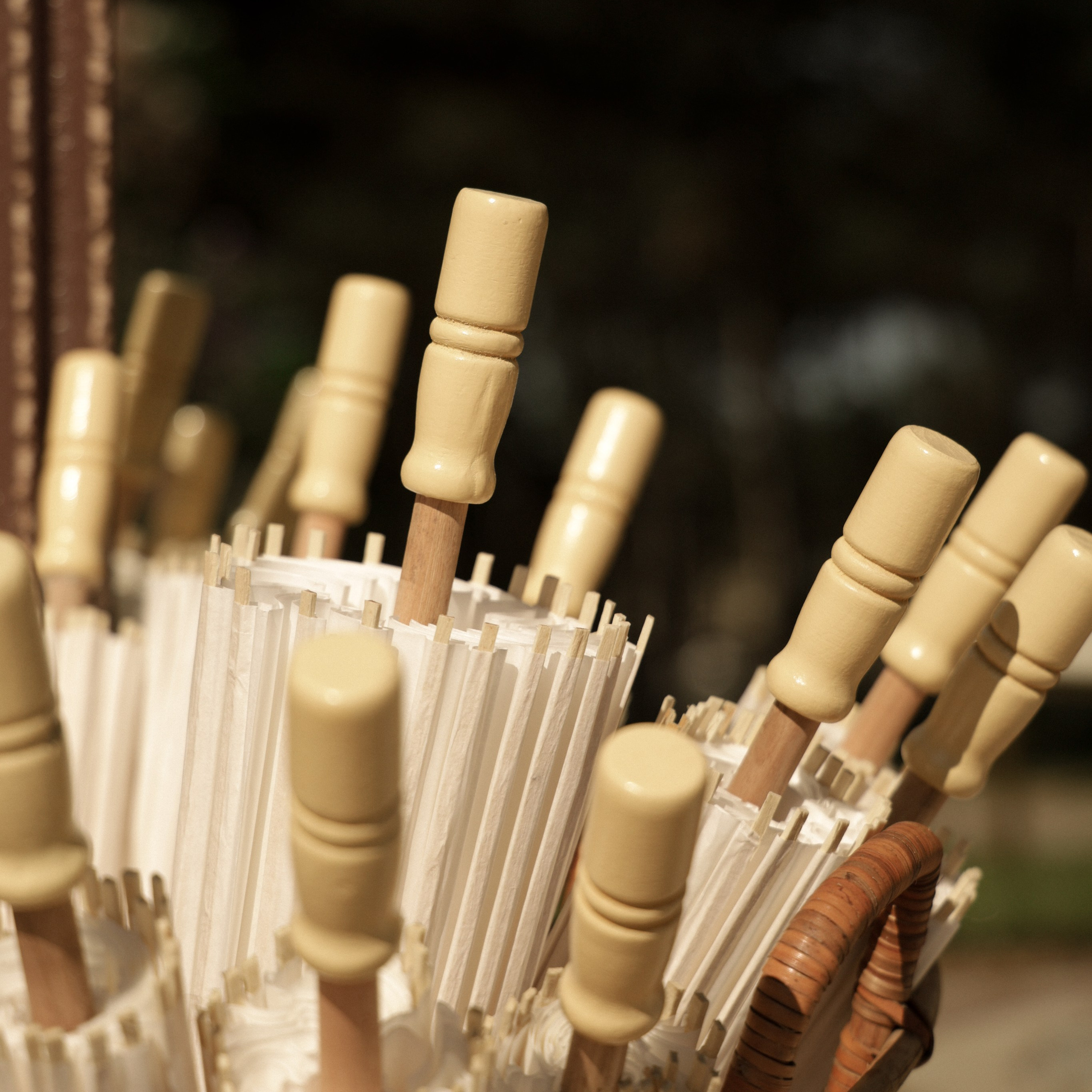 Свадебный фотограф в Севастополе — Виктория Божкова | Портфолио, цены, заказ фотосессии в Крыму