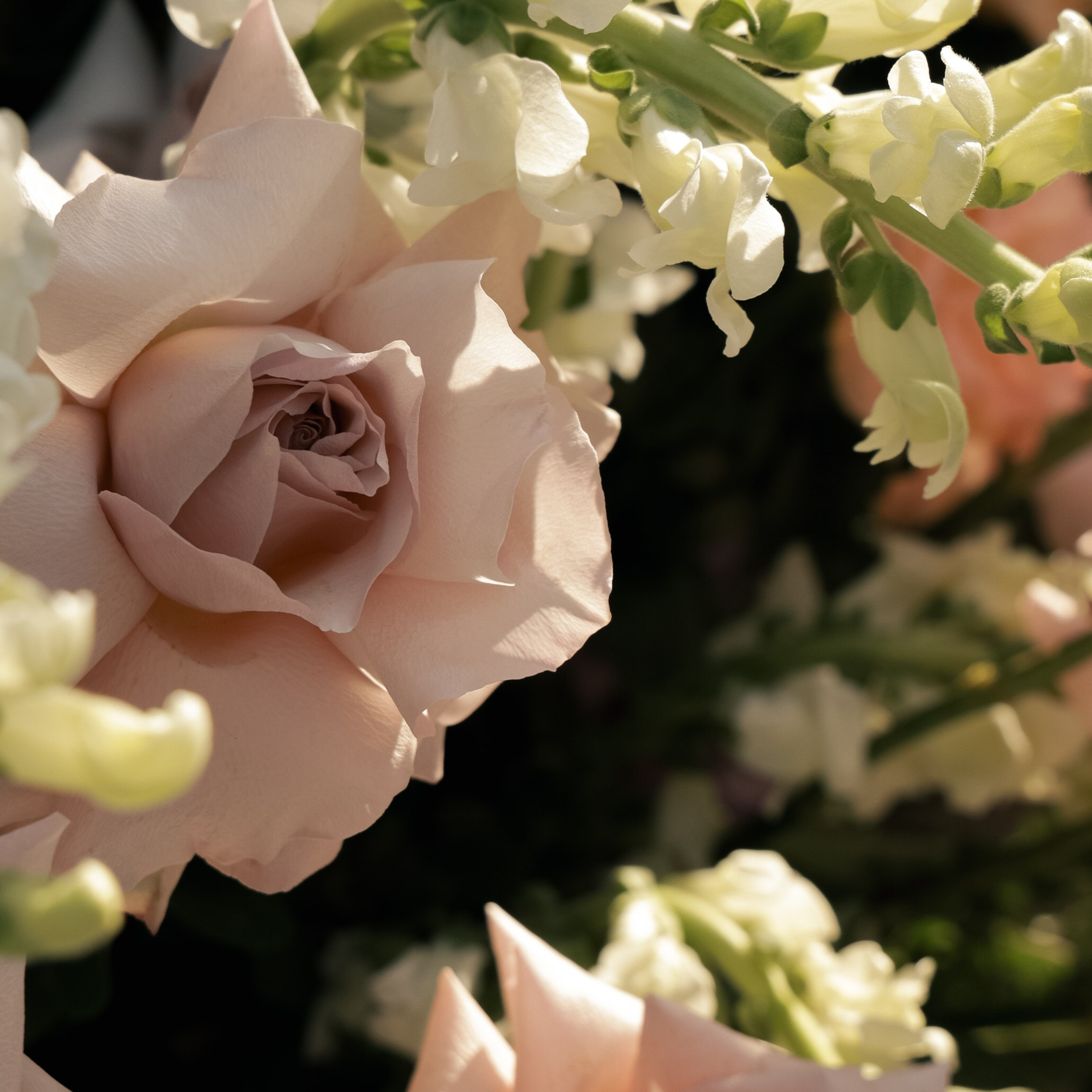 Свадебный фотограф в Севастополе — Виктория Божкова | Портфолио, цены, заказ фотосессии в Крыму