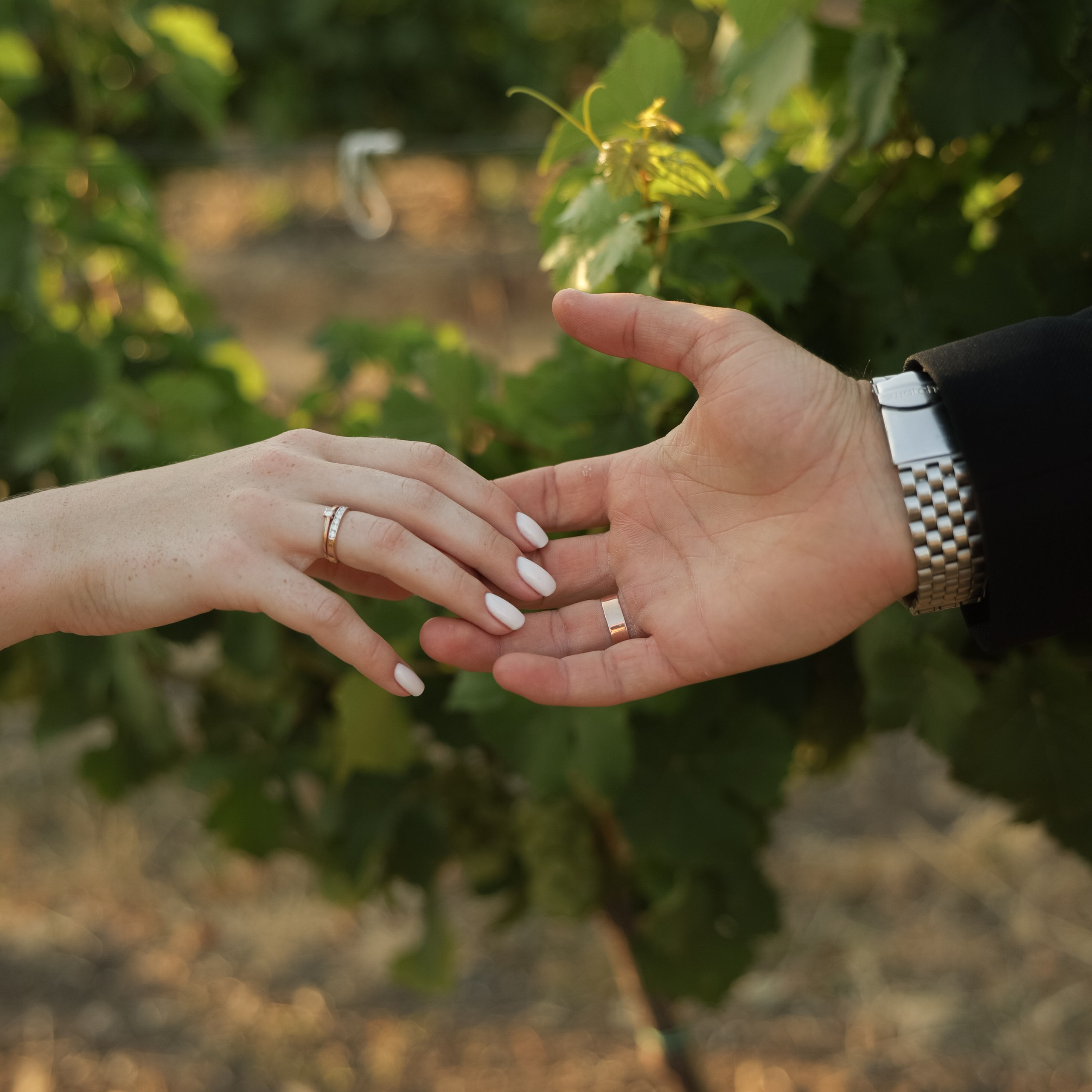 Свадебный фотограф в Севастополе — Виктория Божкова | Портфолио, цены, заказ фотосессии в Крыму