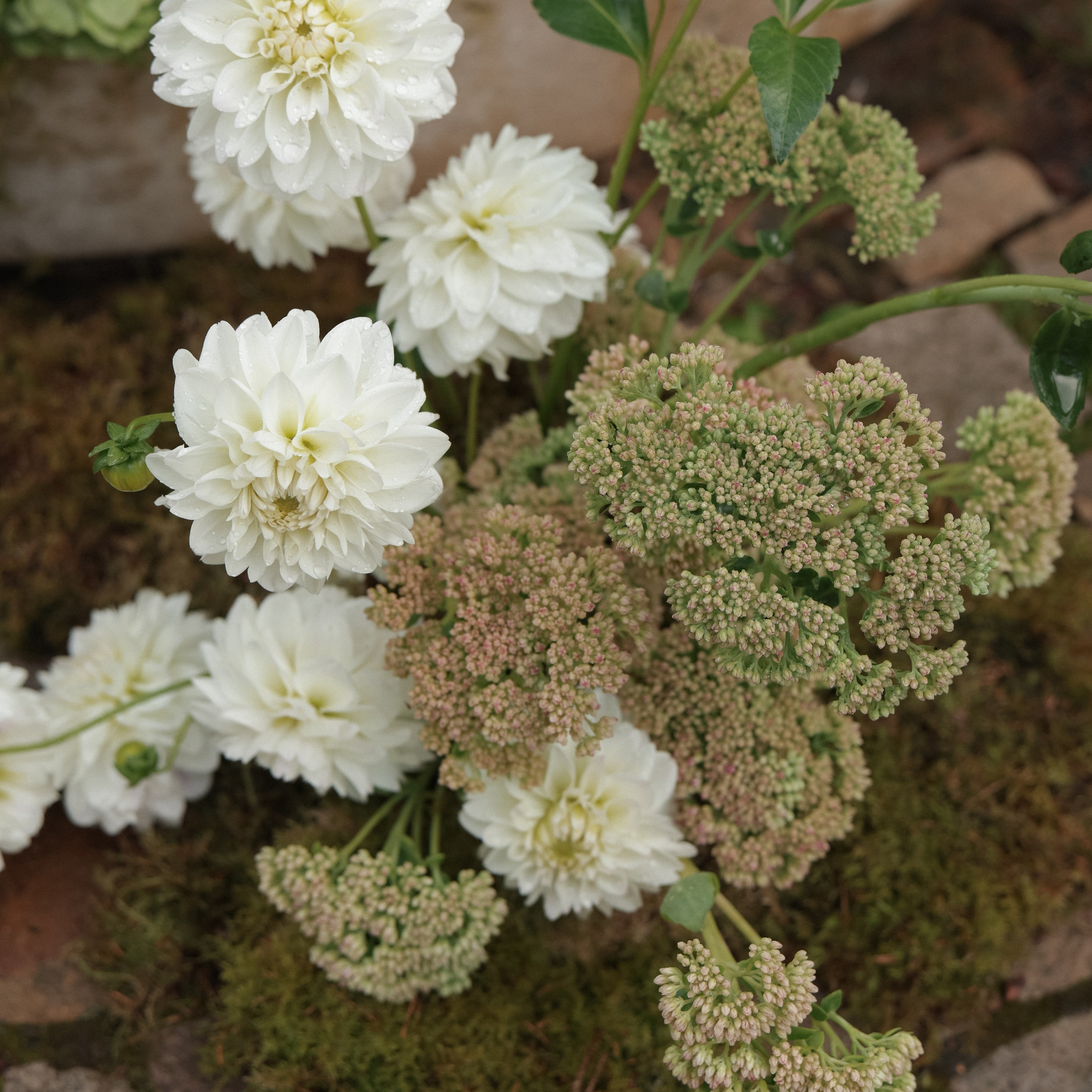 Свадебный фотограф в Севастополе — Виктория Божкова | Портфолио, цены, заказ фотосессии в Крыму