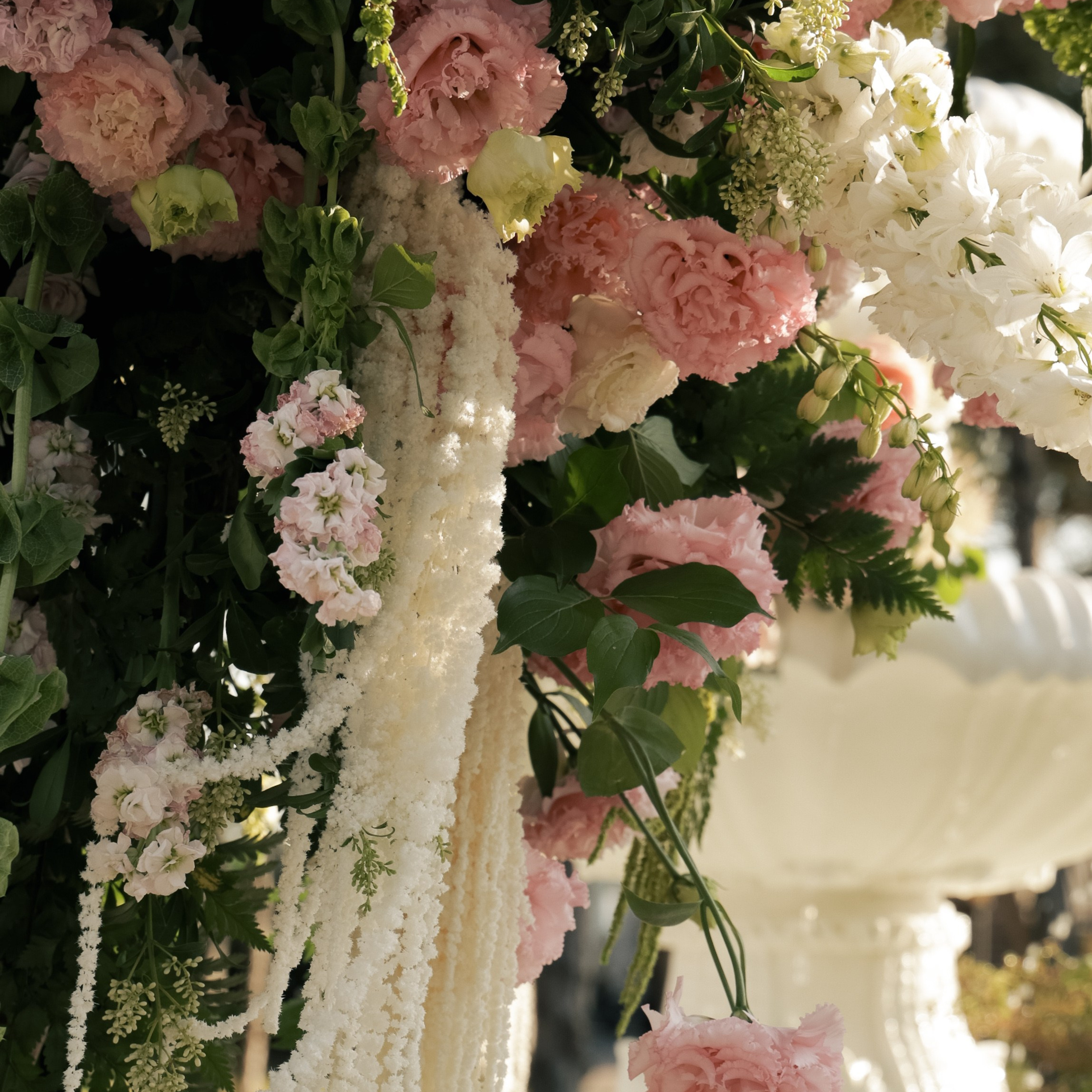 Свадебный фотограф в Севастополе — Виктория Божкова | Портфолио, цены, заказ фотосессии в Крыму