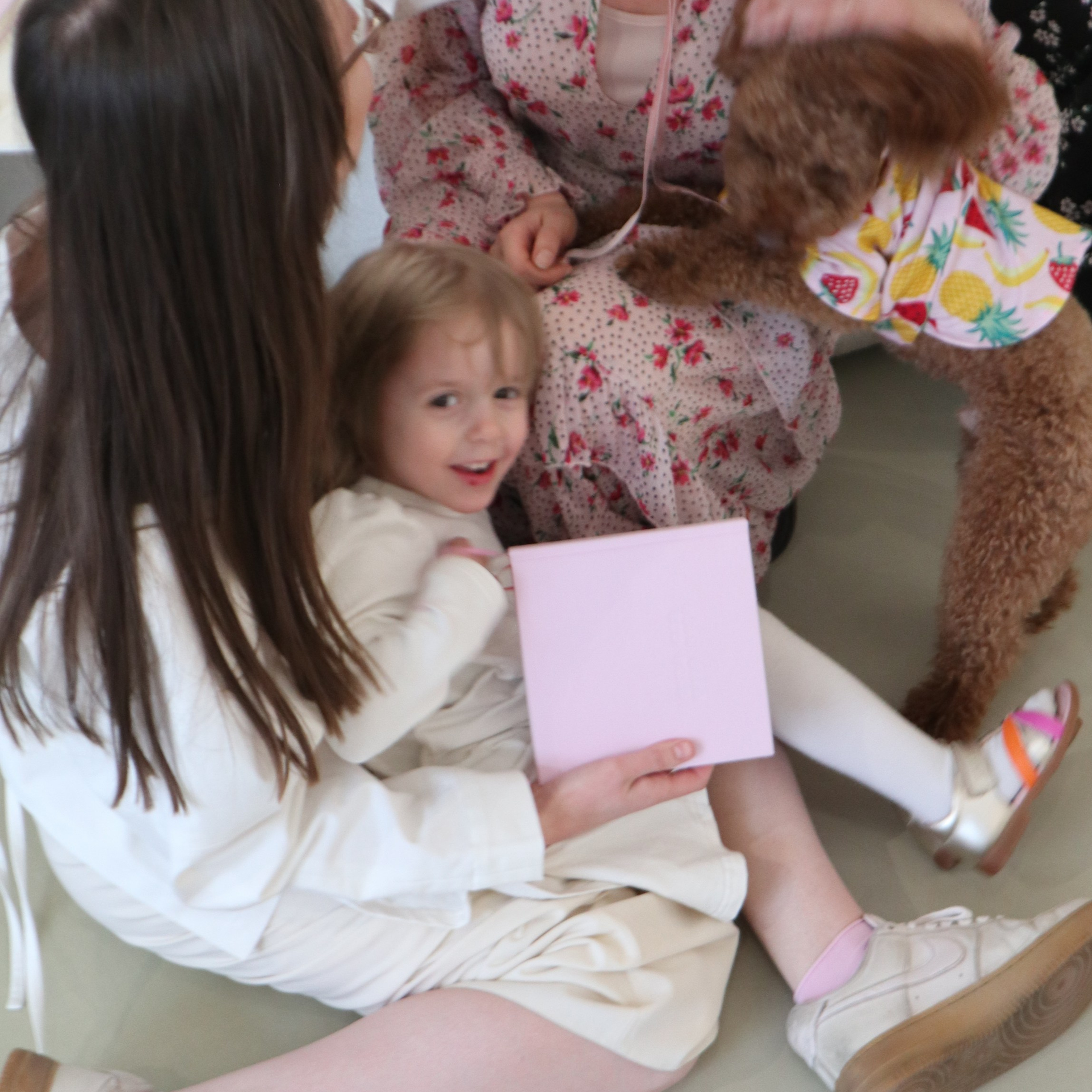 КНИГА ХУДОЖНИКА PINK WORD RED FLAG. Бюро Индульгенции Серафима Бучинская продюсер дизайнер художница СПб