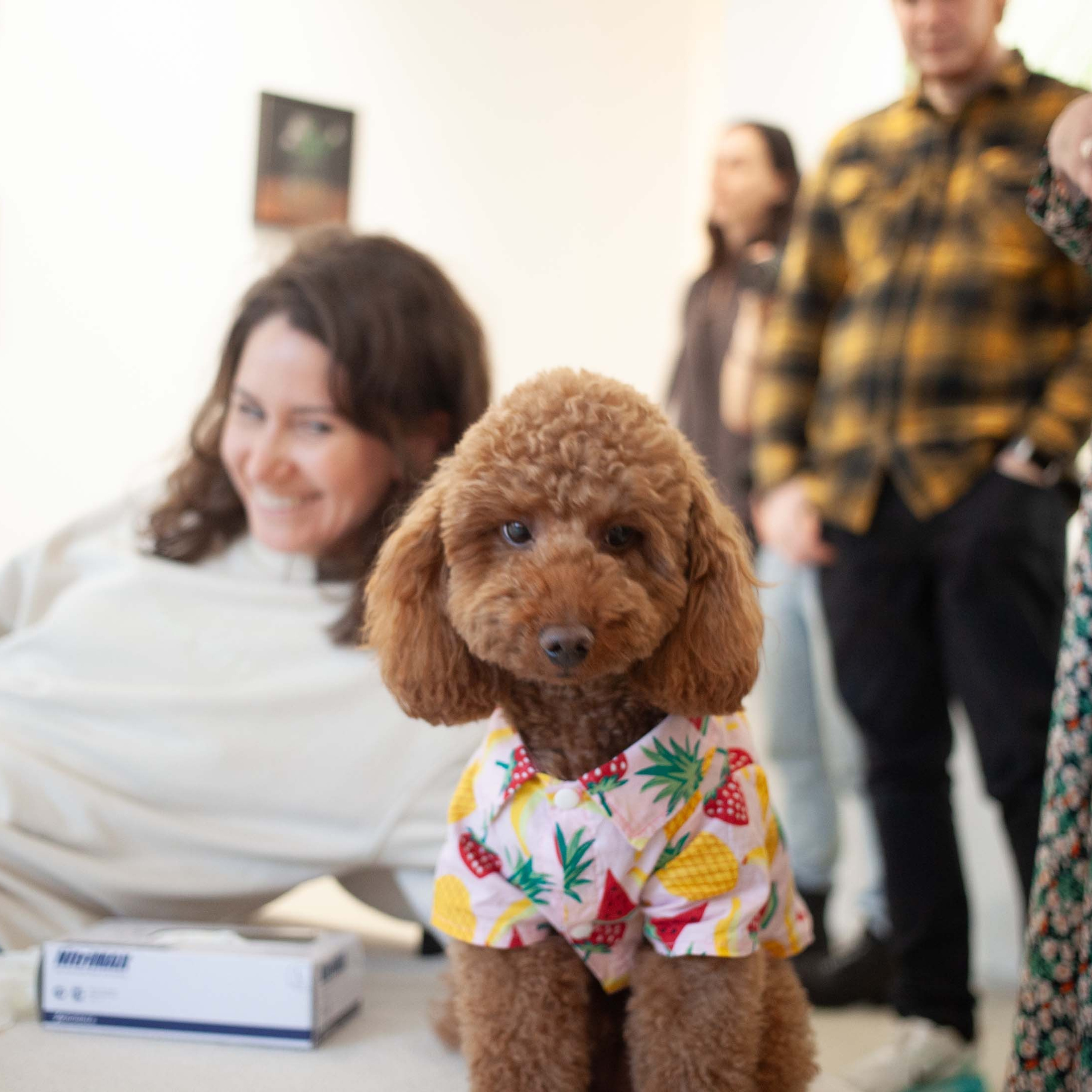 КНИГА ХУДОЖНИКА PINK WORD RED FLAG. Бюро Индульгенции Серафима Бучинская продюсер дизайнер художница СПб