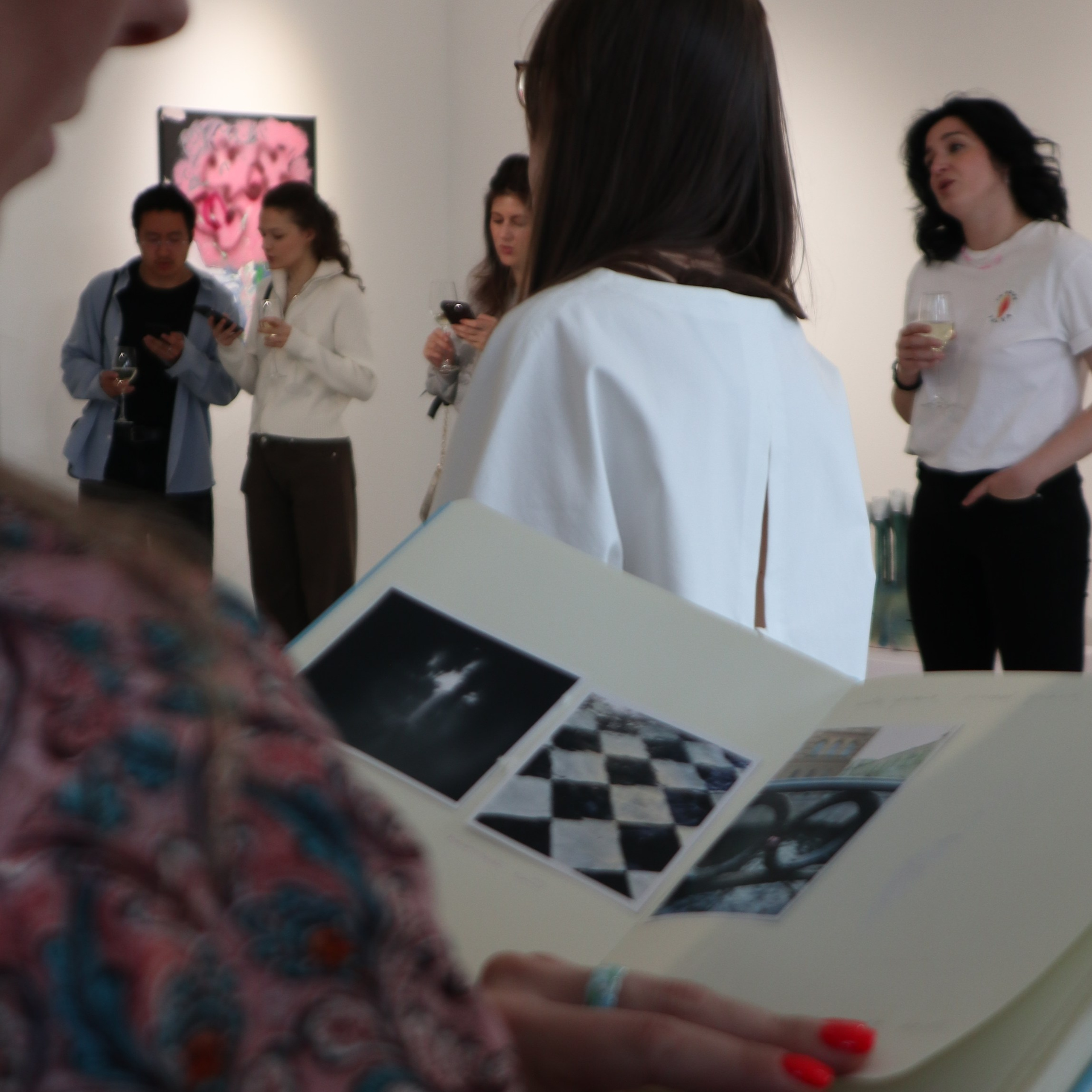 КНИГА ХУДОЖНИКА PINK WORD RED FLAG. Бюро Индульгенции Серафима Бучинская продюсер дизайнер художница СПб