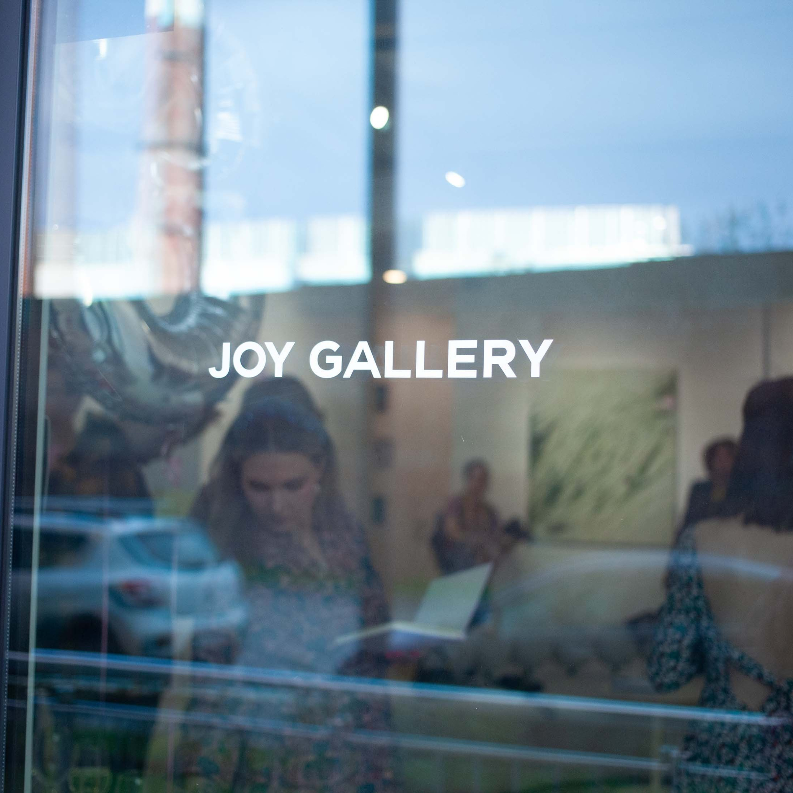 КНИГА ХУДОЖНИКА PINK WORD RED FLAG. Бюро Индульгенции Серафима Бучинская продюсер дизайнер художница СПб