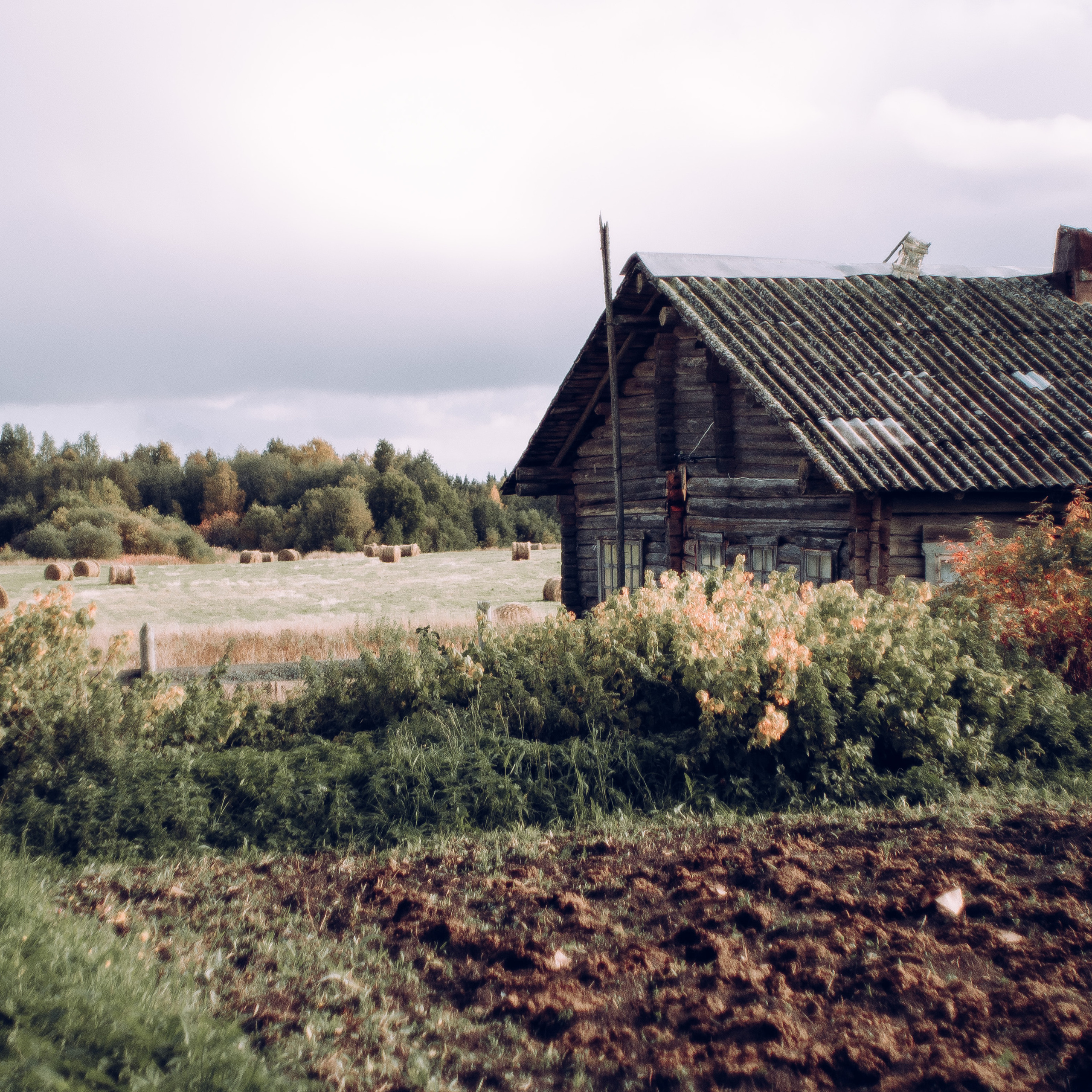 Карелия. Фотограф на Бали|Свадьба на Бали