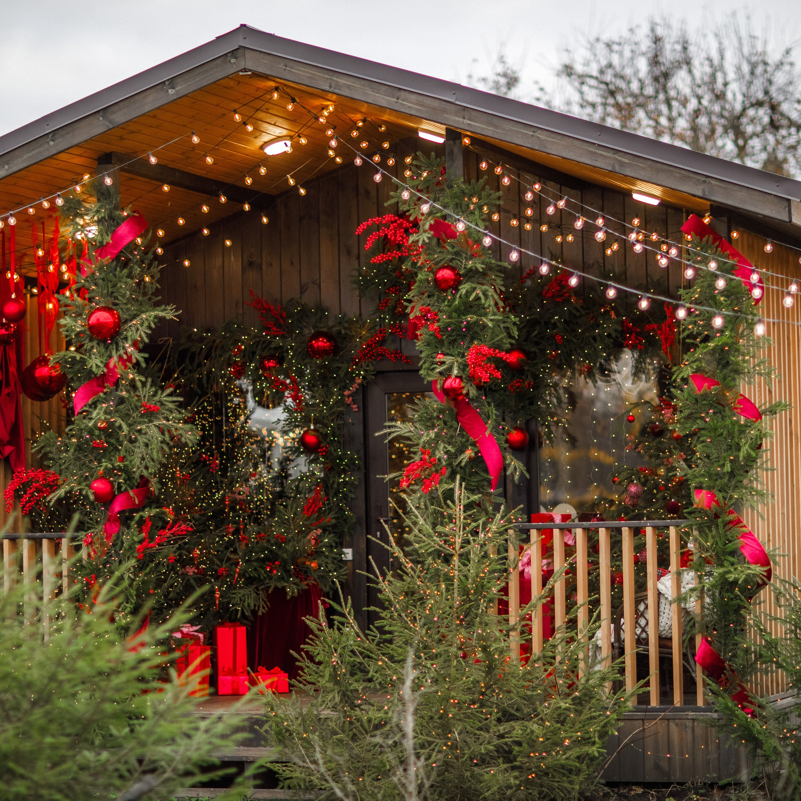 Актуальный интерьер фотостудий Брянска на Ноябрь, Декабрь 2024 и начала Января 2025