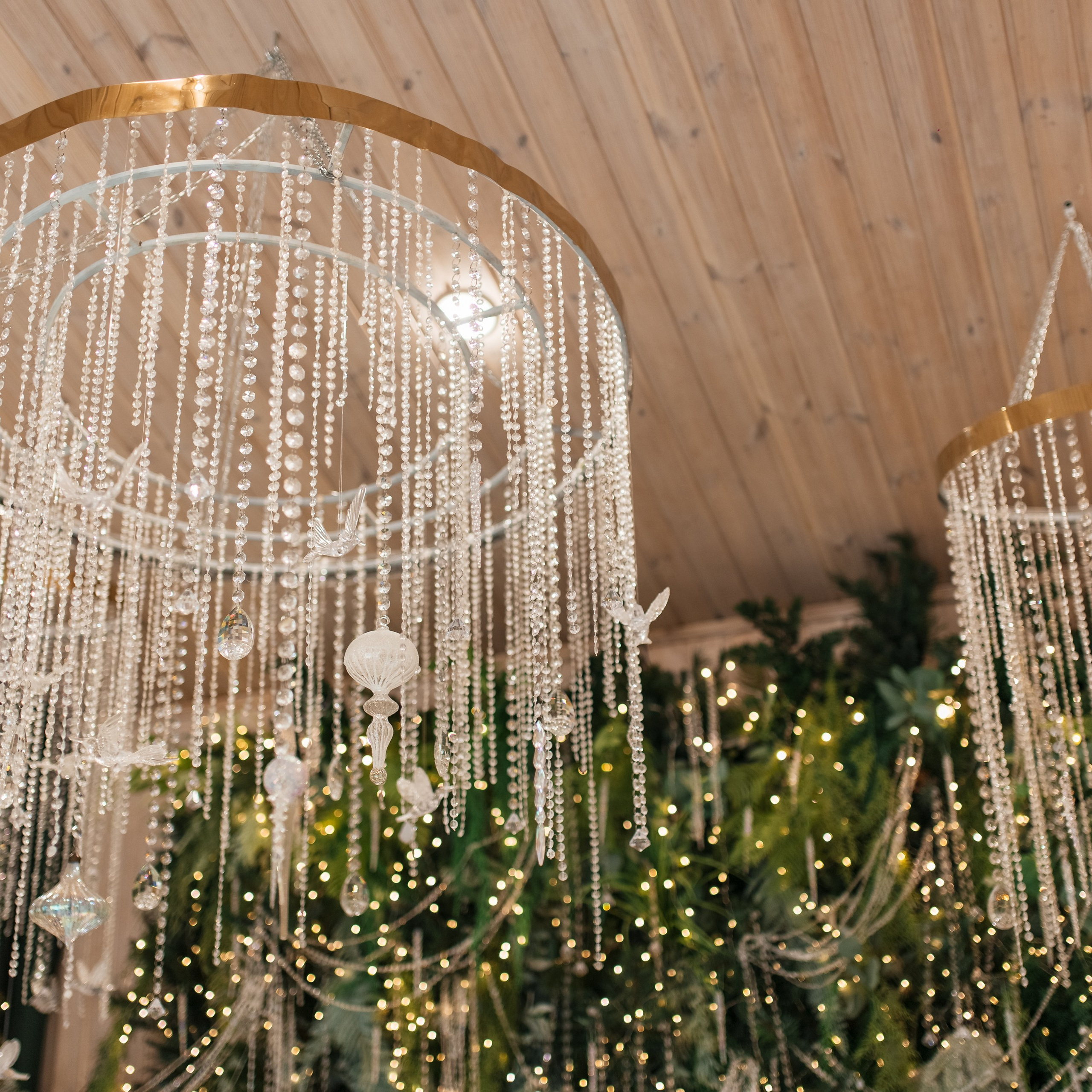 Актуальный интерьер фотостудий Брянска на Ноябрь, Декабрь 2024 и начала Января 2025