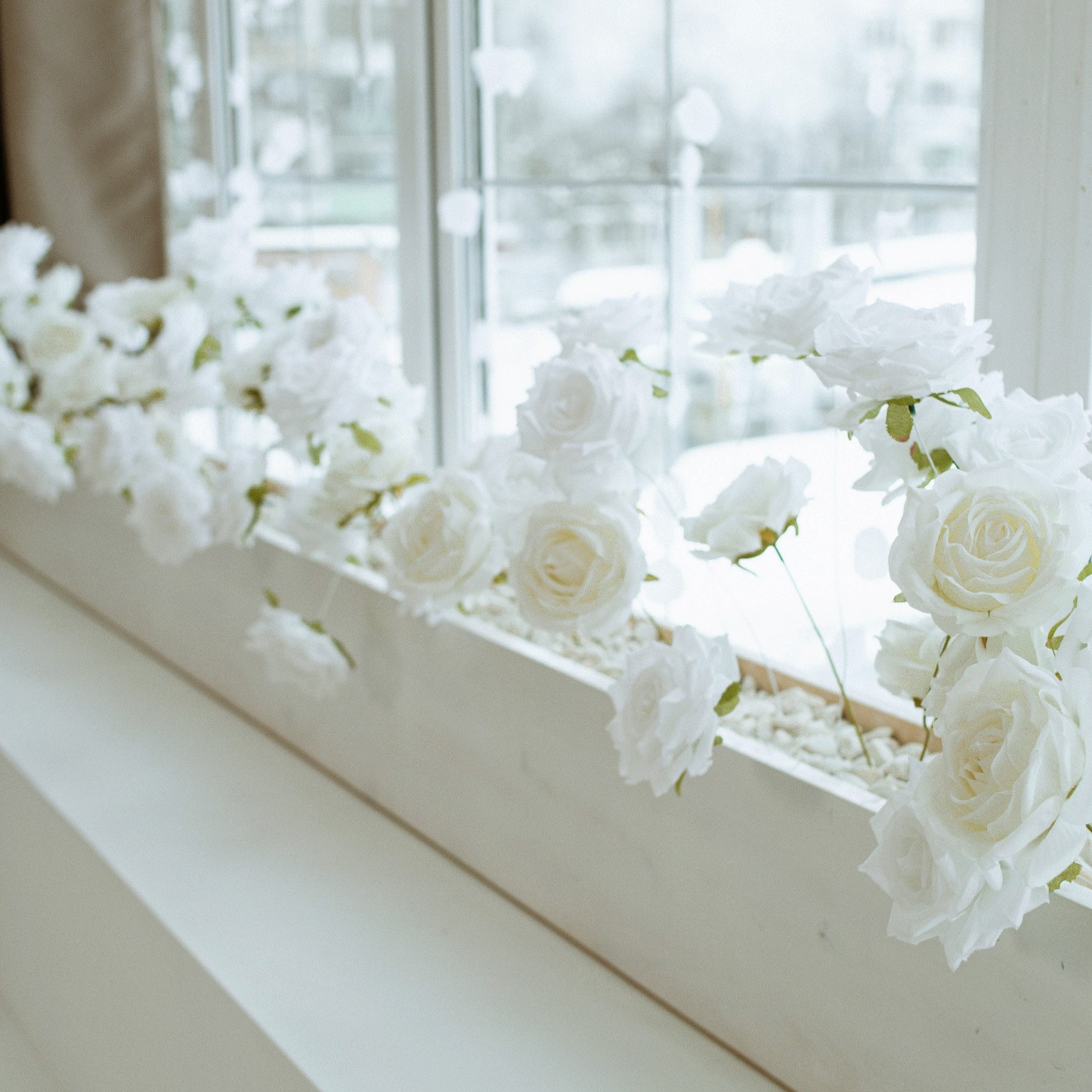 Актуальный интерьер фотостудий Брянска на Ноябрь, Декабрь 2025 и начала Января 2026