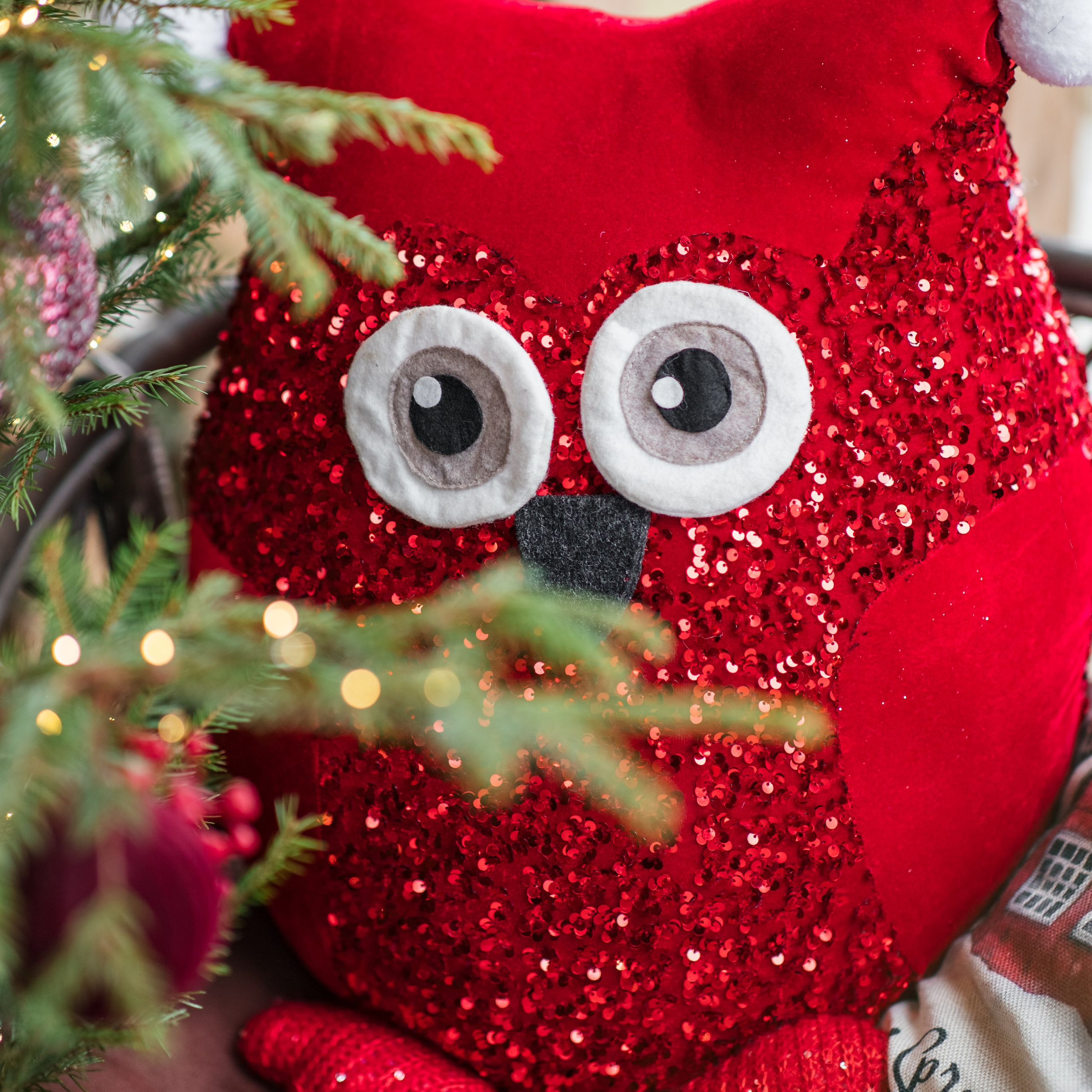 Актуальный интерьер фотостудий Брянска на Ноябрь, Декабрь 2024 и начала Января 2025