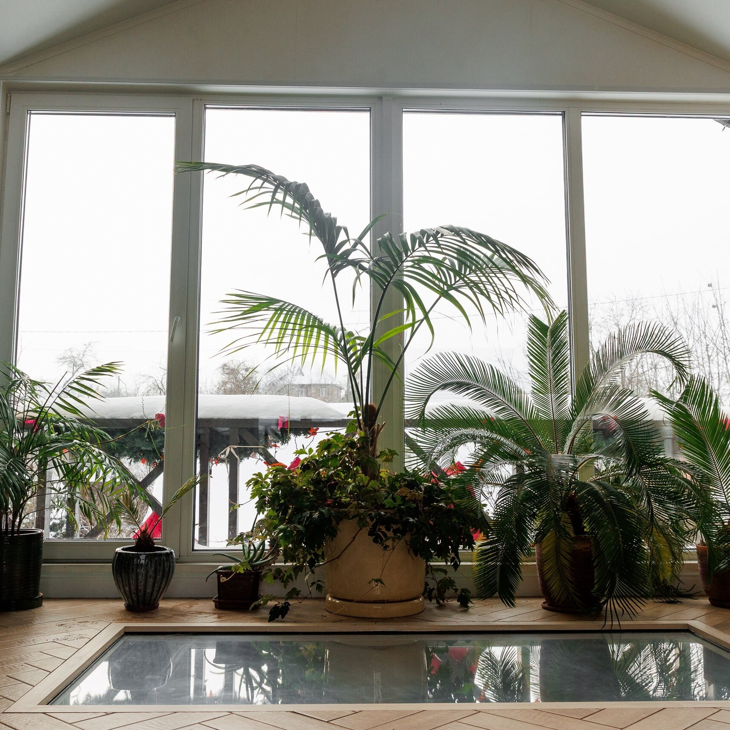 Актуальный интерьер фотостудий Брянска на Ноябрь, Декабрь 2025 и начала Января 2026