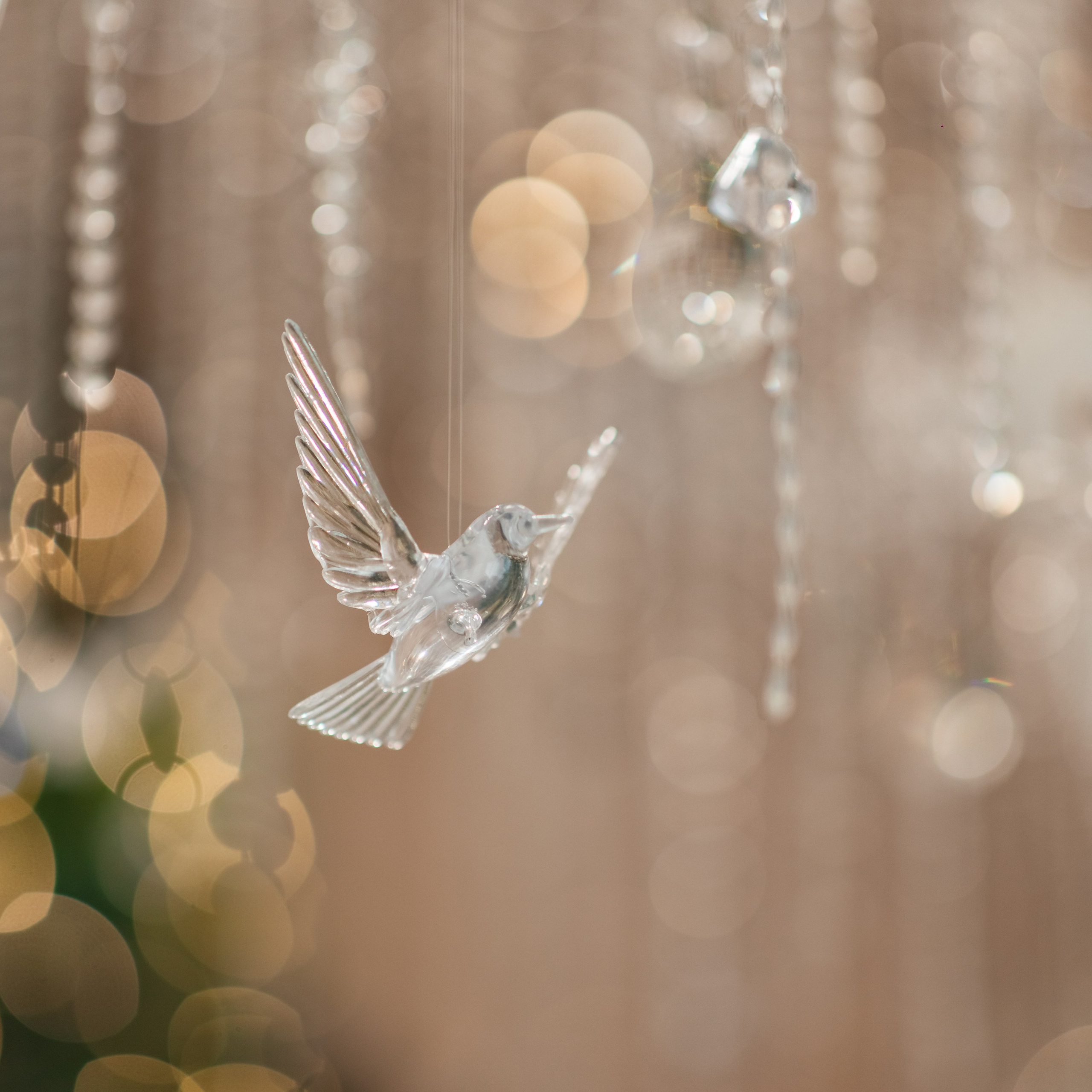 Актуальный интерьер фотостудий Брянска на Ноябрь, Декабрь 2024 и начала Января 2025