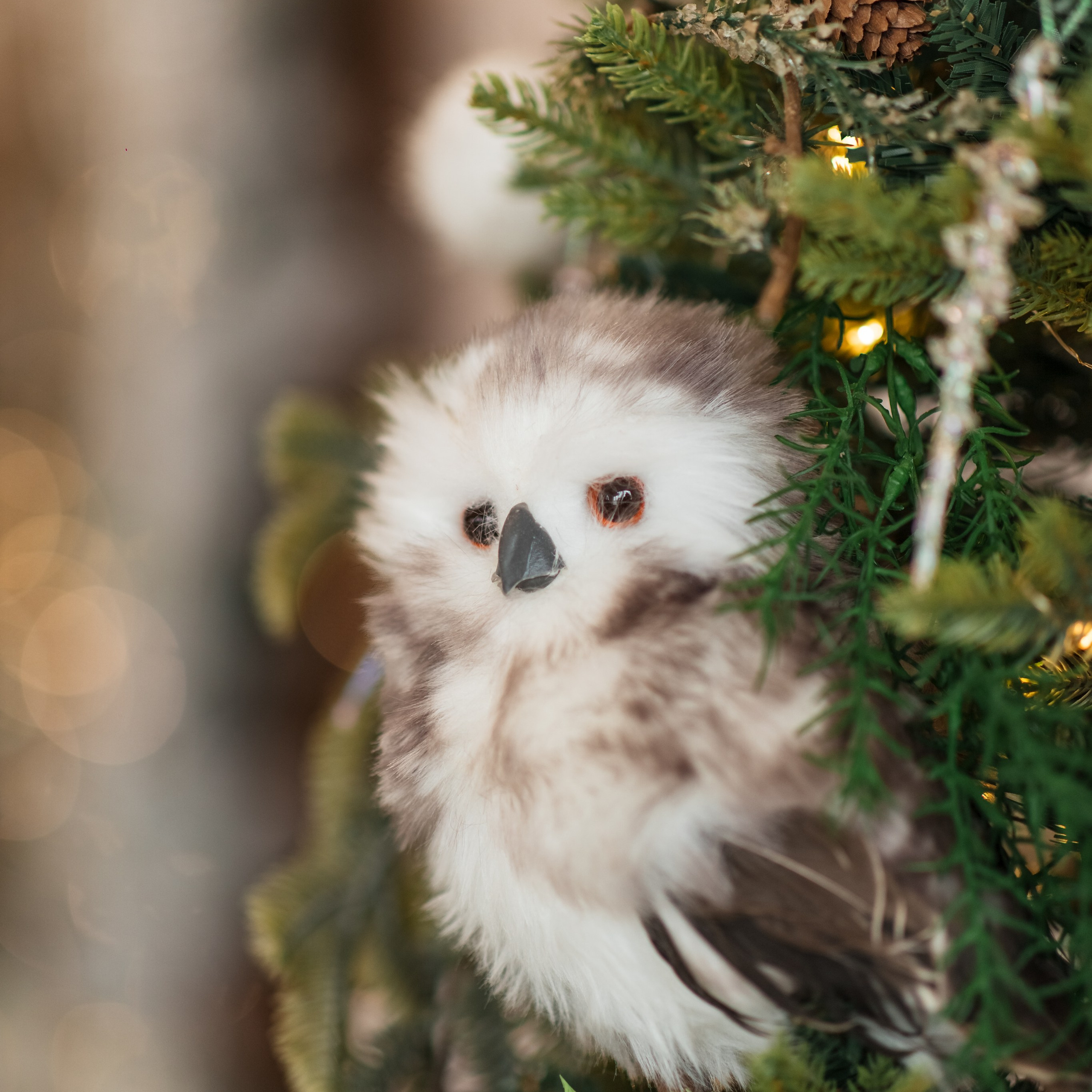 Актуальный интерьер фотостудий Брянска на Ноябрь, Декабрь 2024 и начала Января 2025