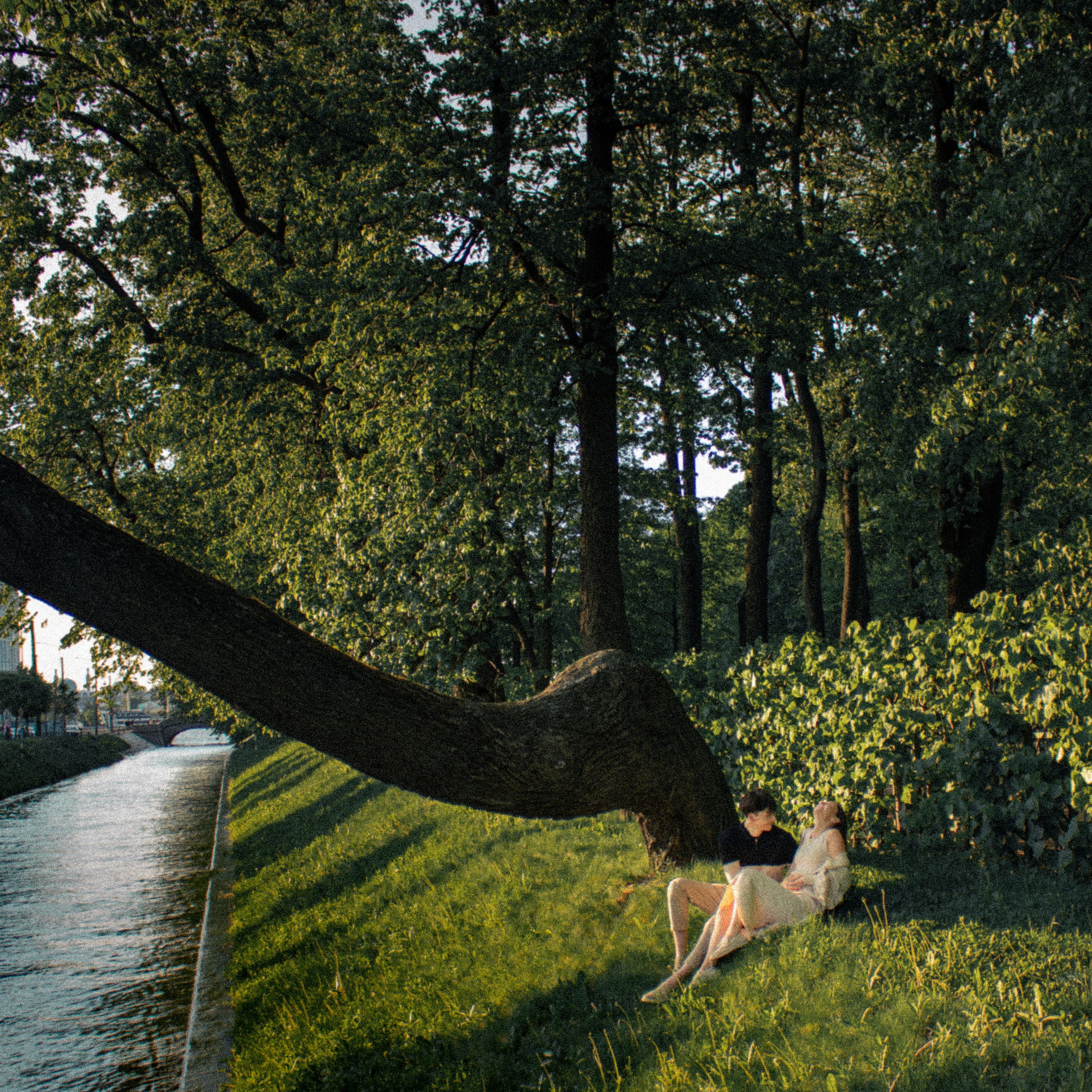 Любовь. Фотограф Елизавета Гикова