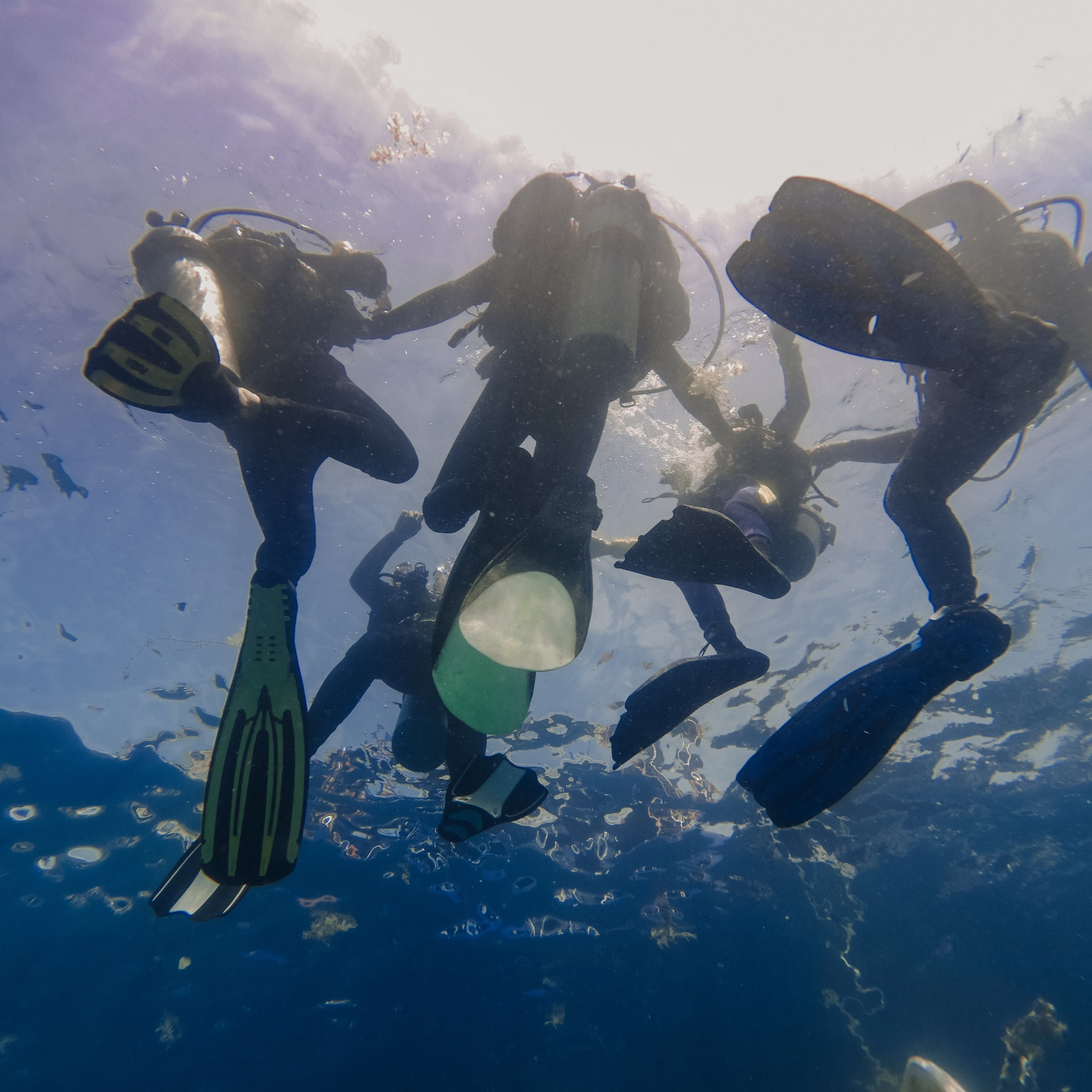 Дайвинг во Вьетнаме