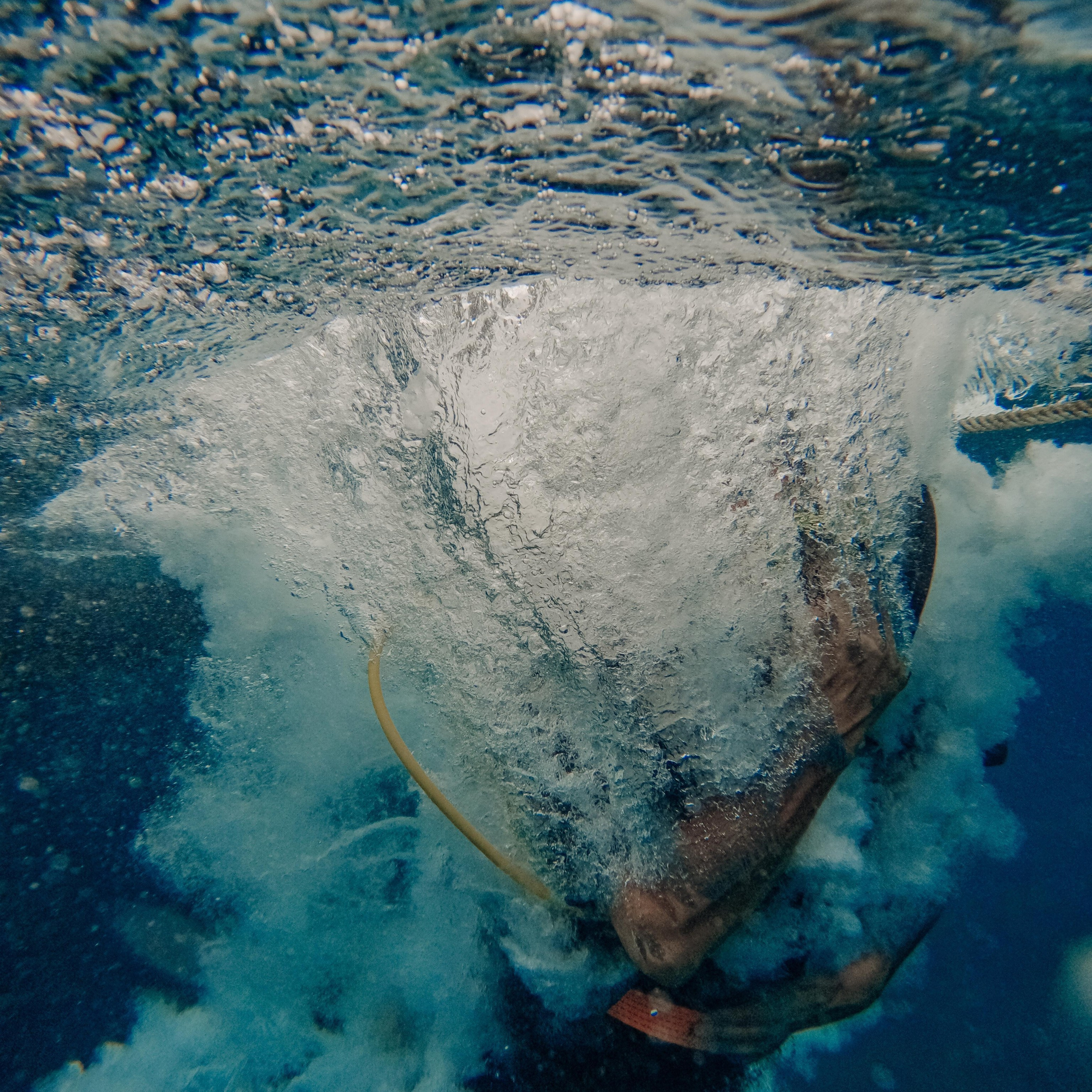 Дайвинг во Вьетнаме