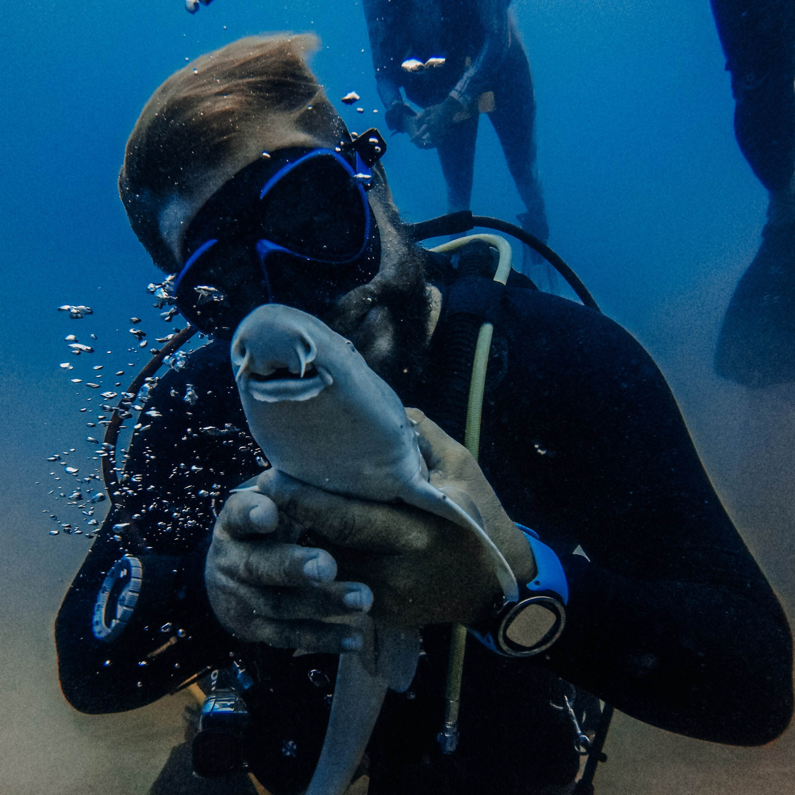 Дайвинг во Вьетнаме