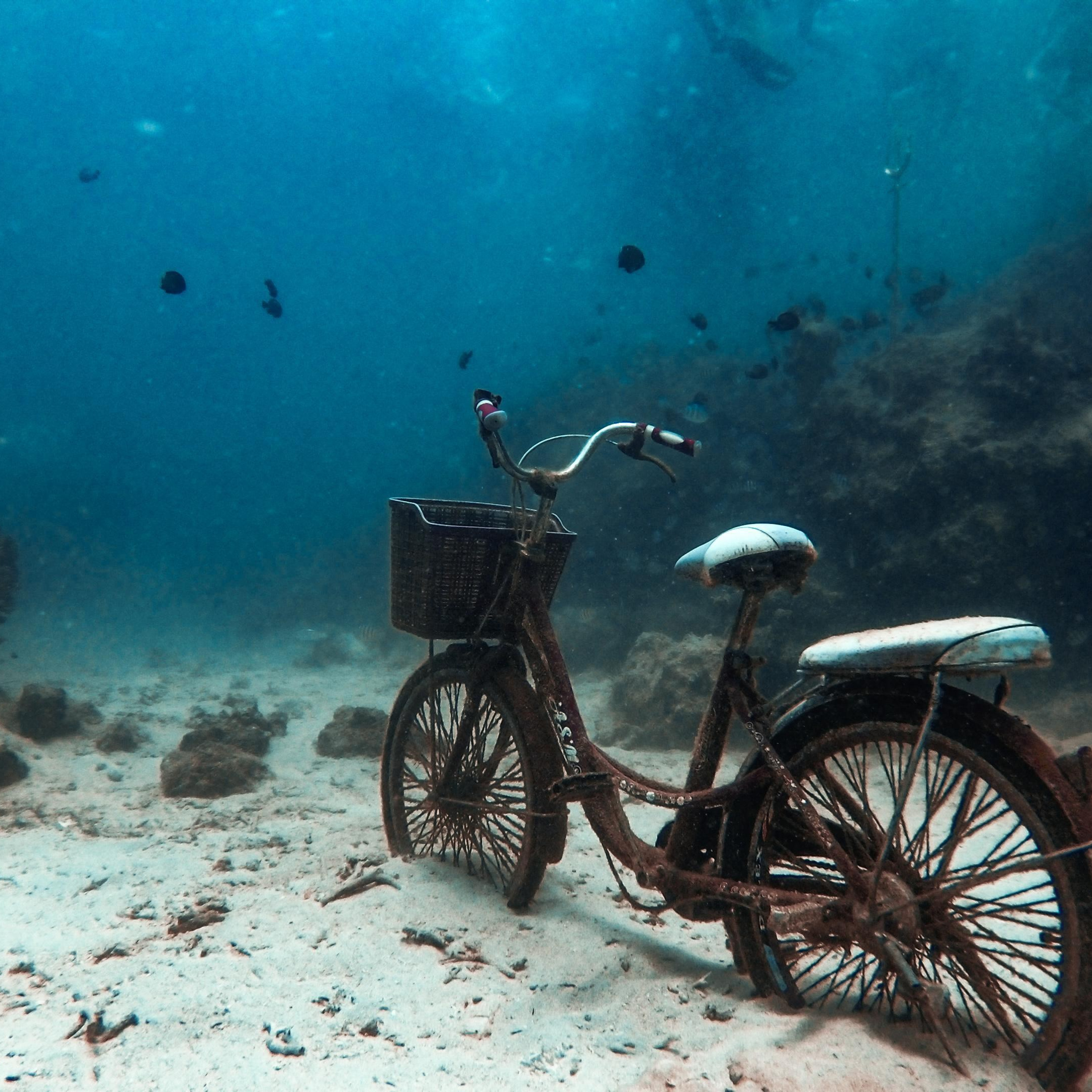 Дайвинг во Вьетнаме