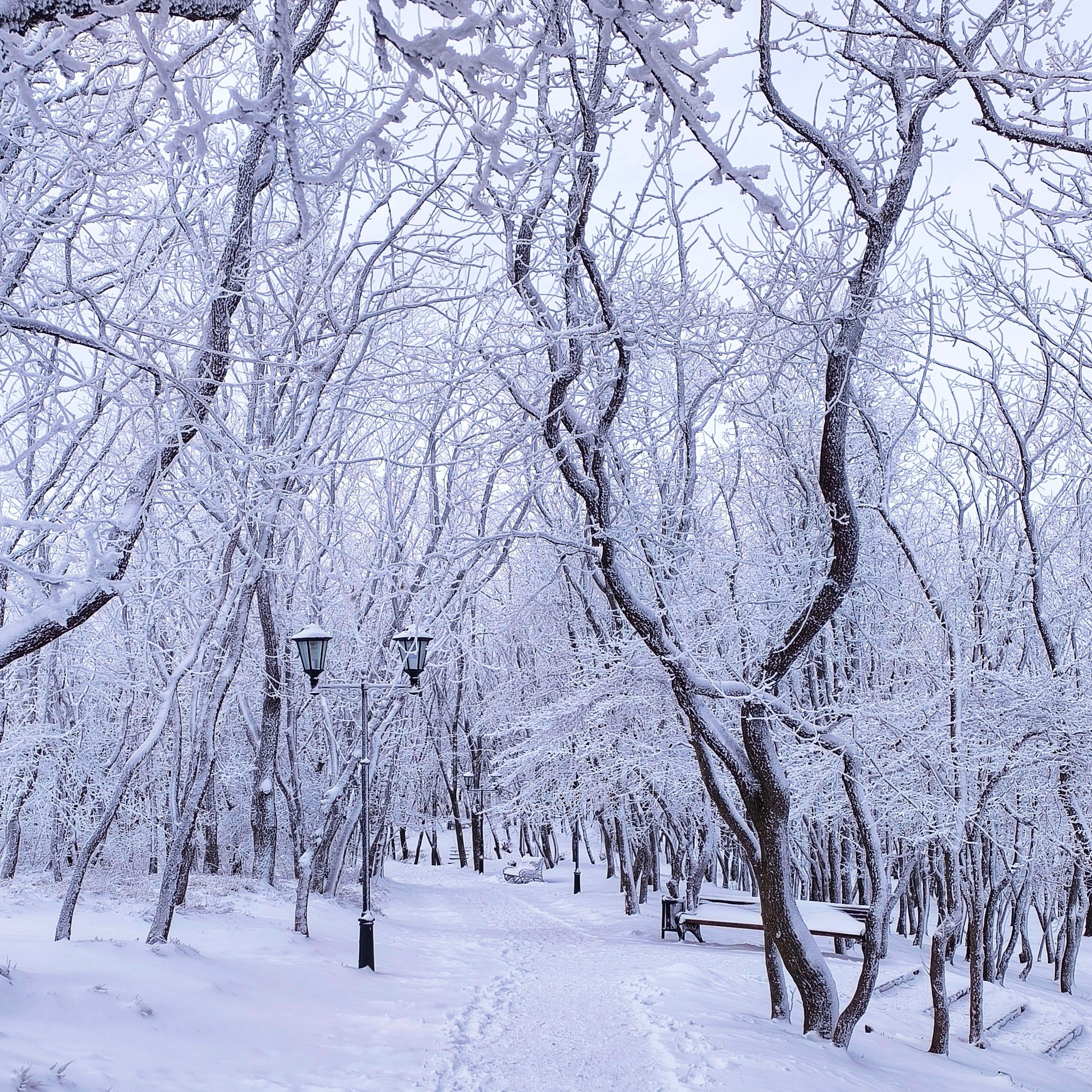 По-настоящему зимний Пятигорск. Фотосайт Андрея Прокопенко