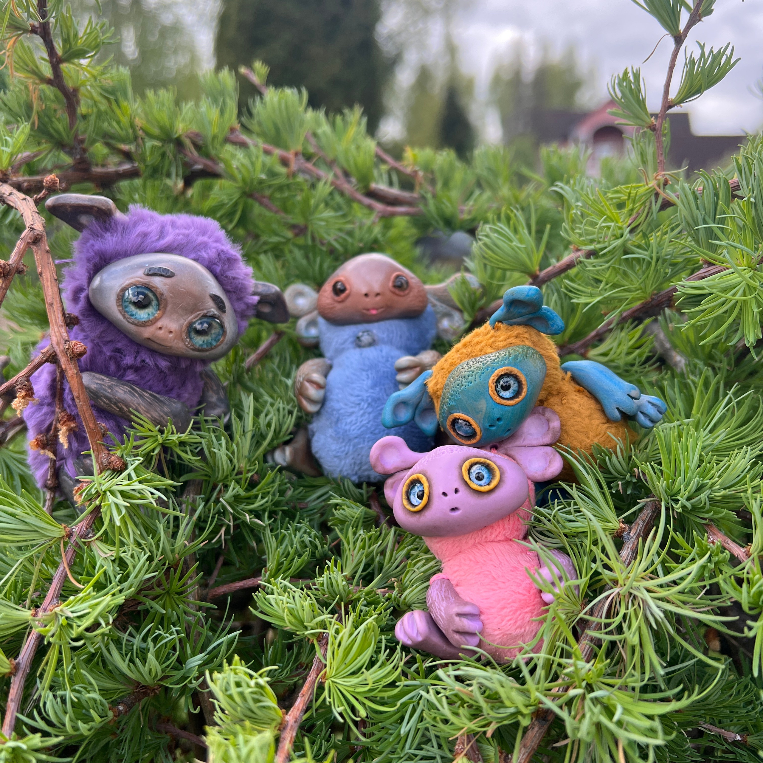 Моё хобби ю Юлия Рубцова тедди мастер. Фотограф в Москве Юлия Рубцова (фото и видео)