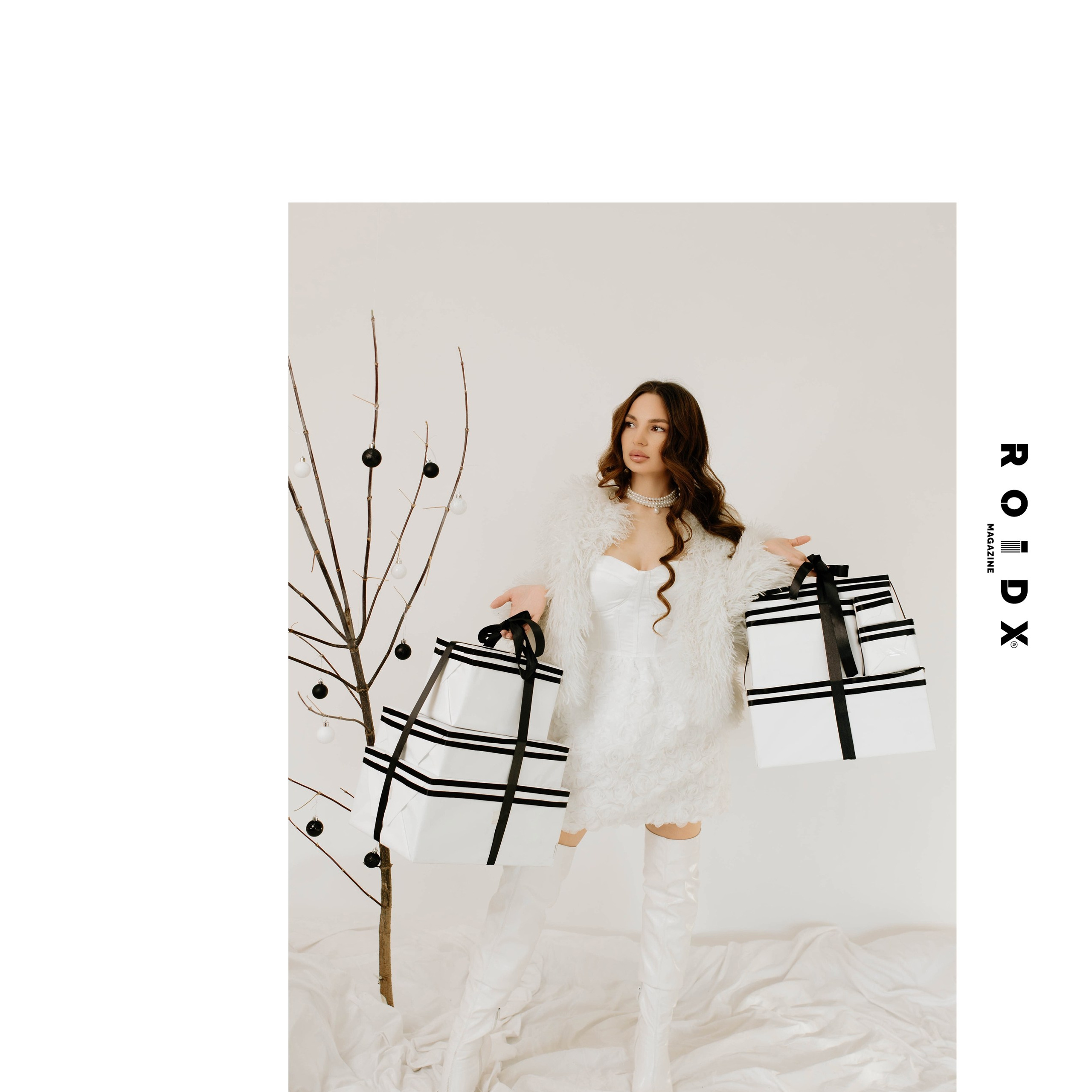 Публикации в журналах. Anika Moc