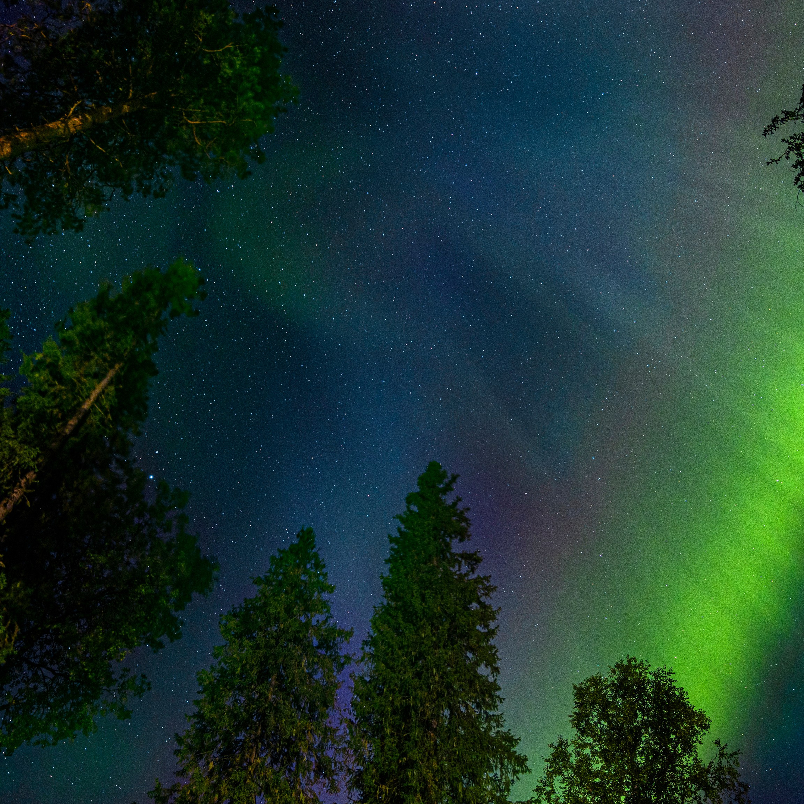 Сияние Коми.