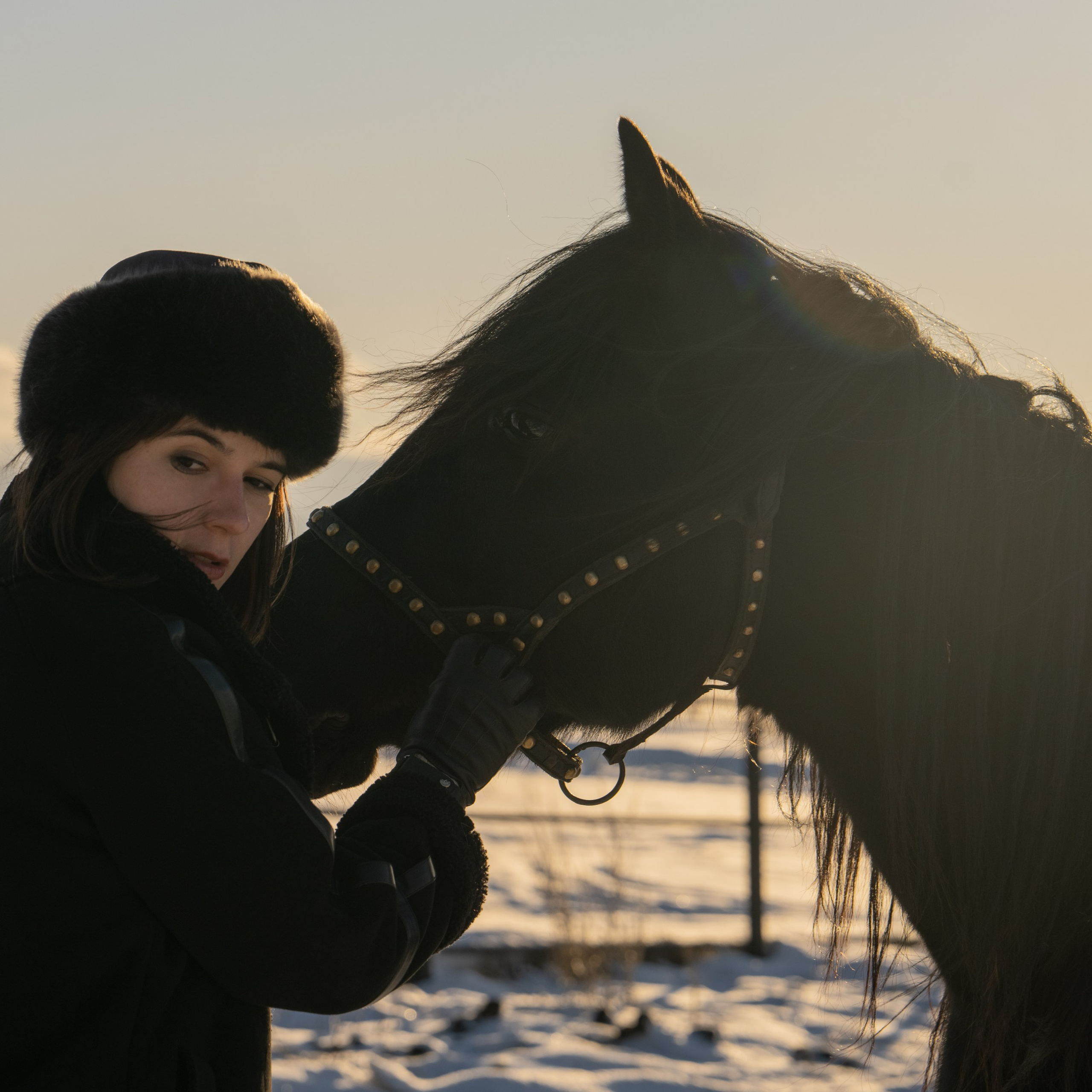 Анонсы фото-проектов с лошадьми в Барнауле и Белокурихе. Главная