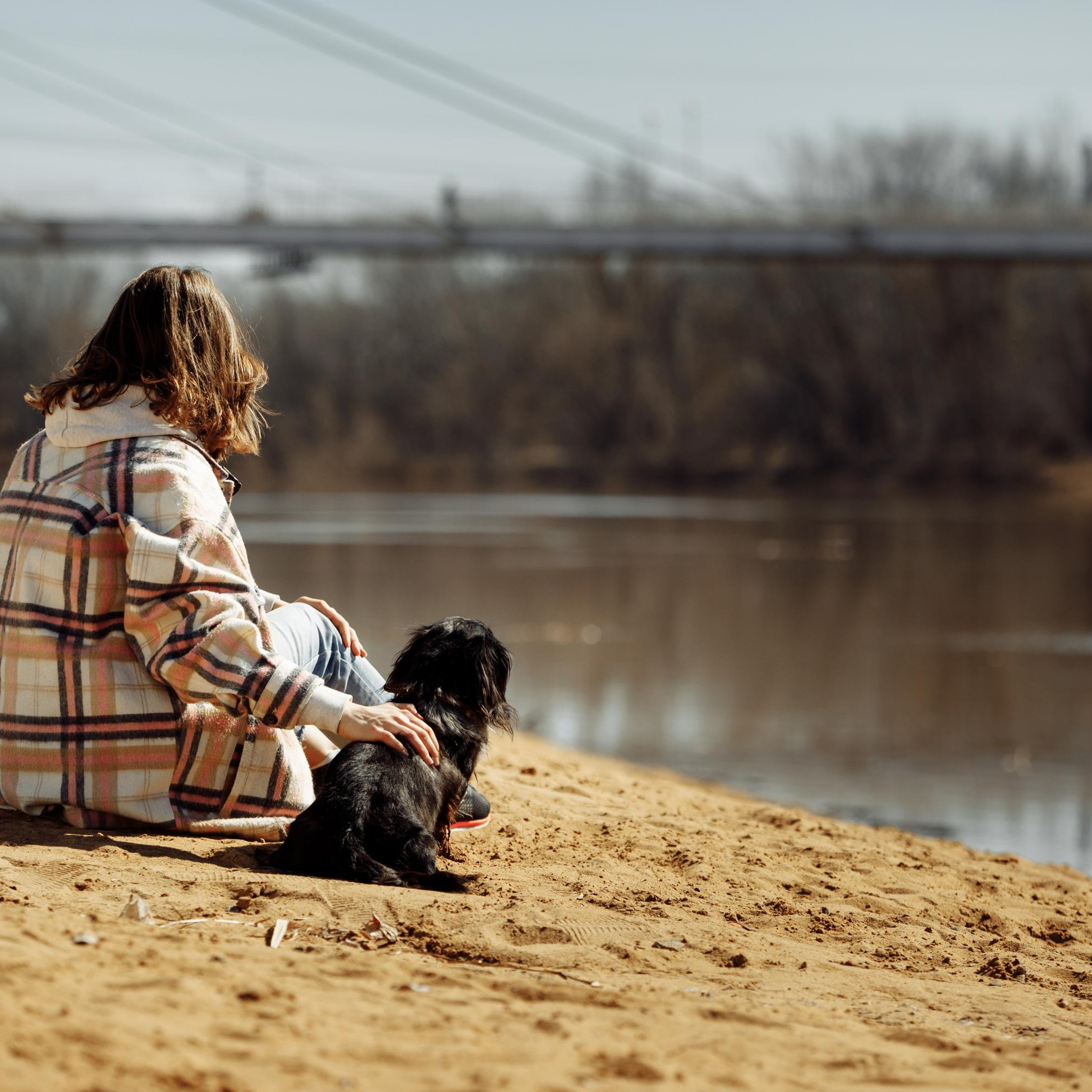 Такс — такс — такс. Фотограф-анималист Саша Вязьмина