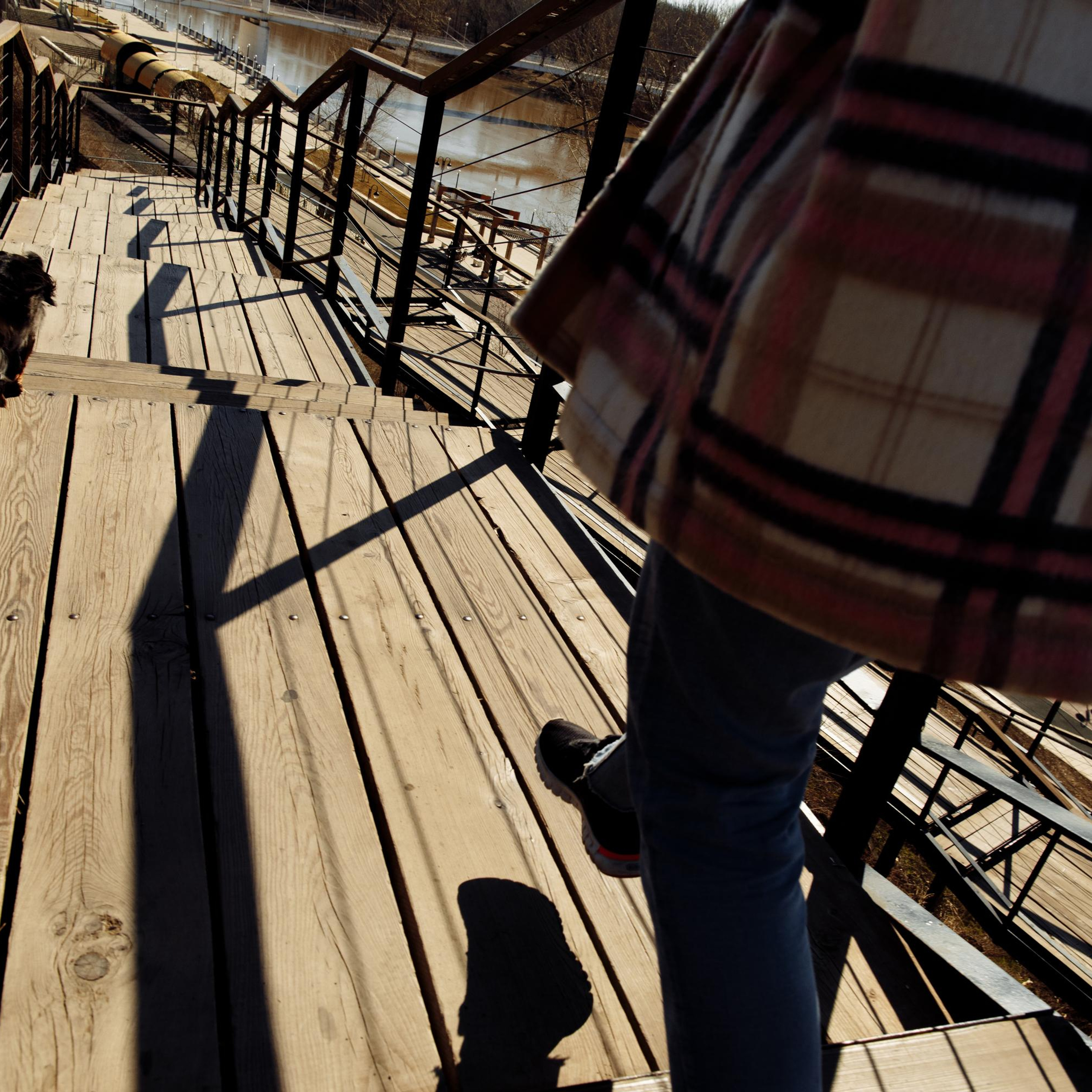 Такс — такс — такс. Фотограф-анималист Саша Вязьмина