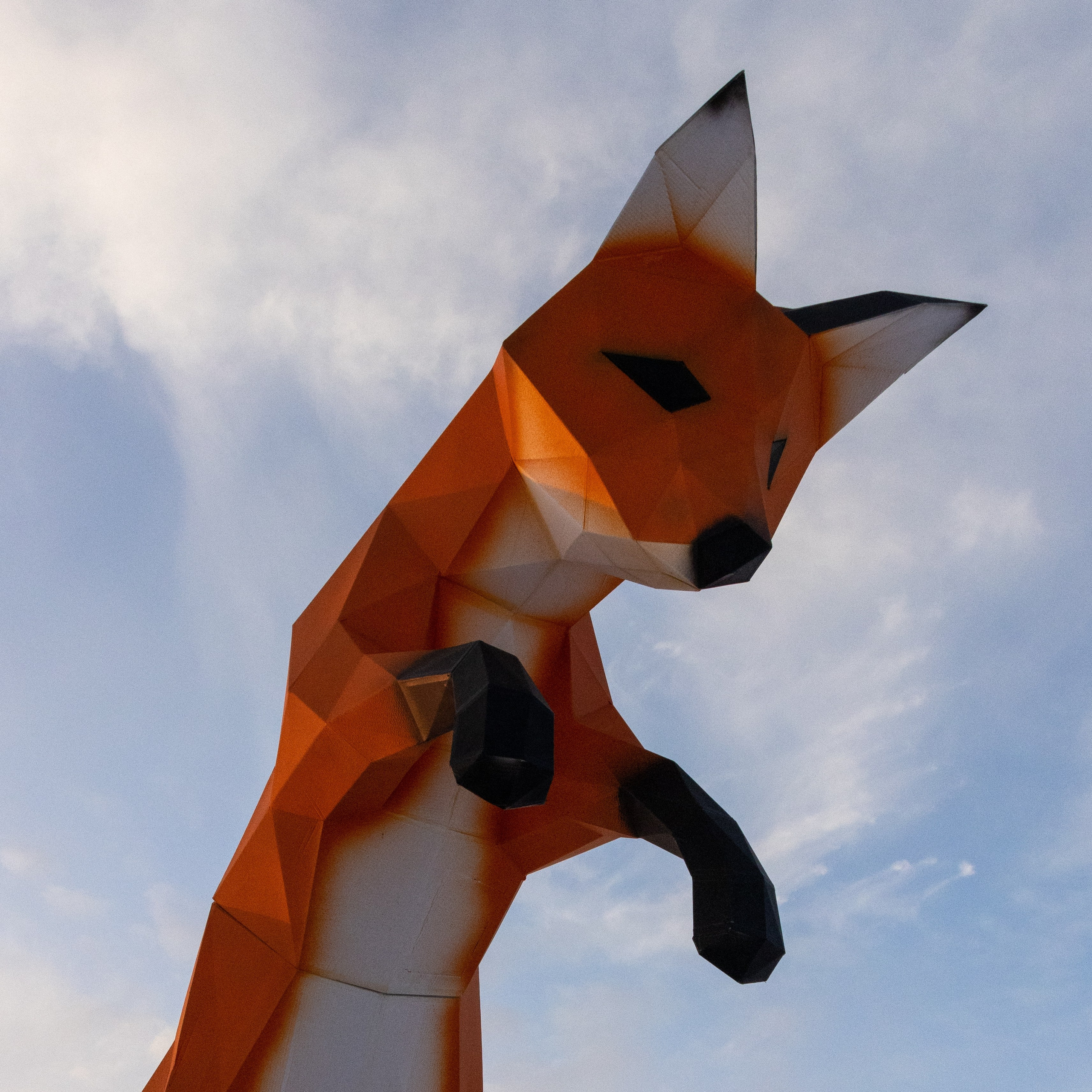 Лиса на льду