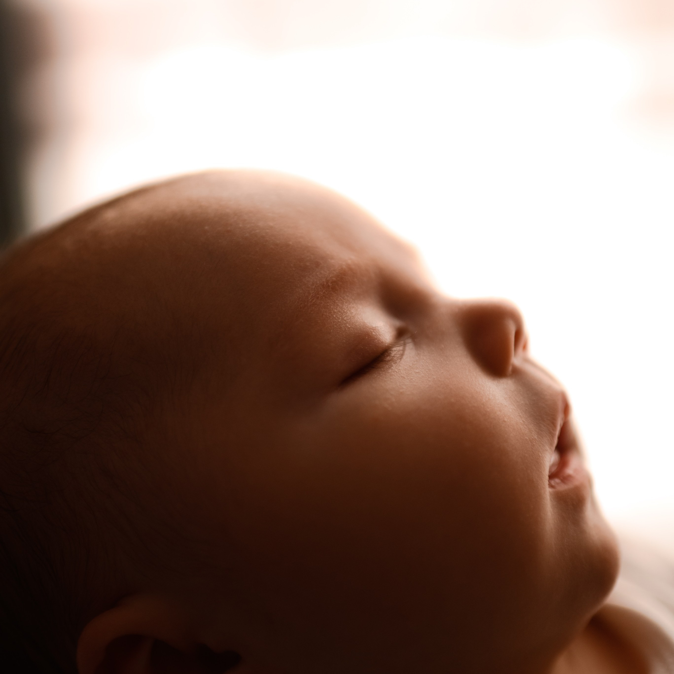 Тарифы. Семейный и свадебный фотограф в Москве