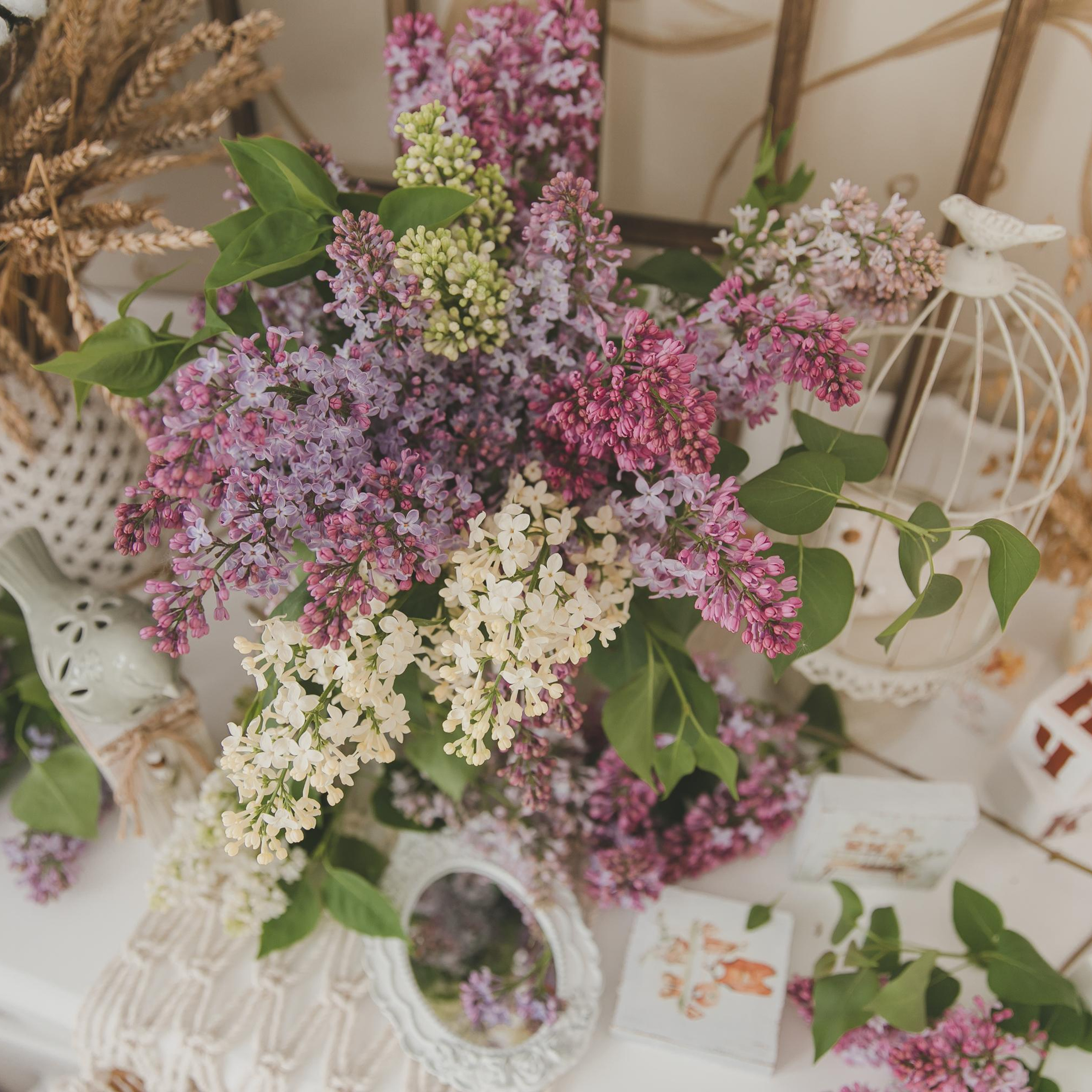 Истории. Семейный и детский фотограф в Железногорске Саламахо Ольга