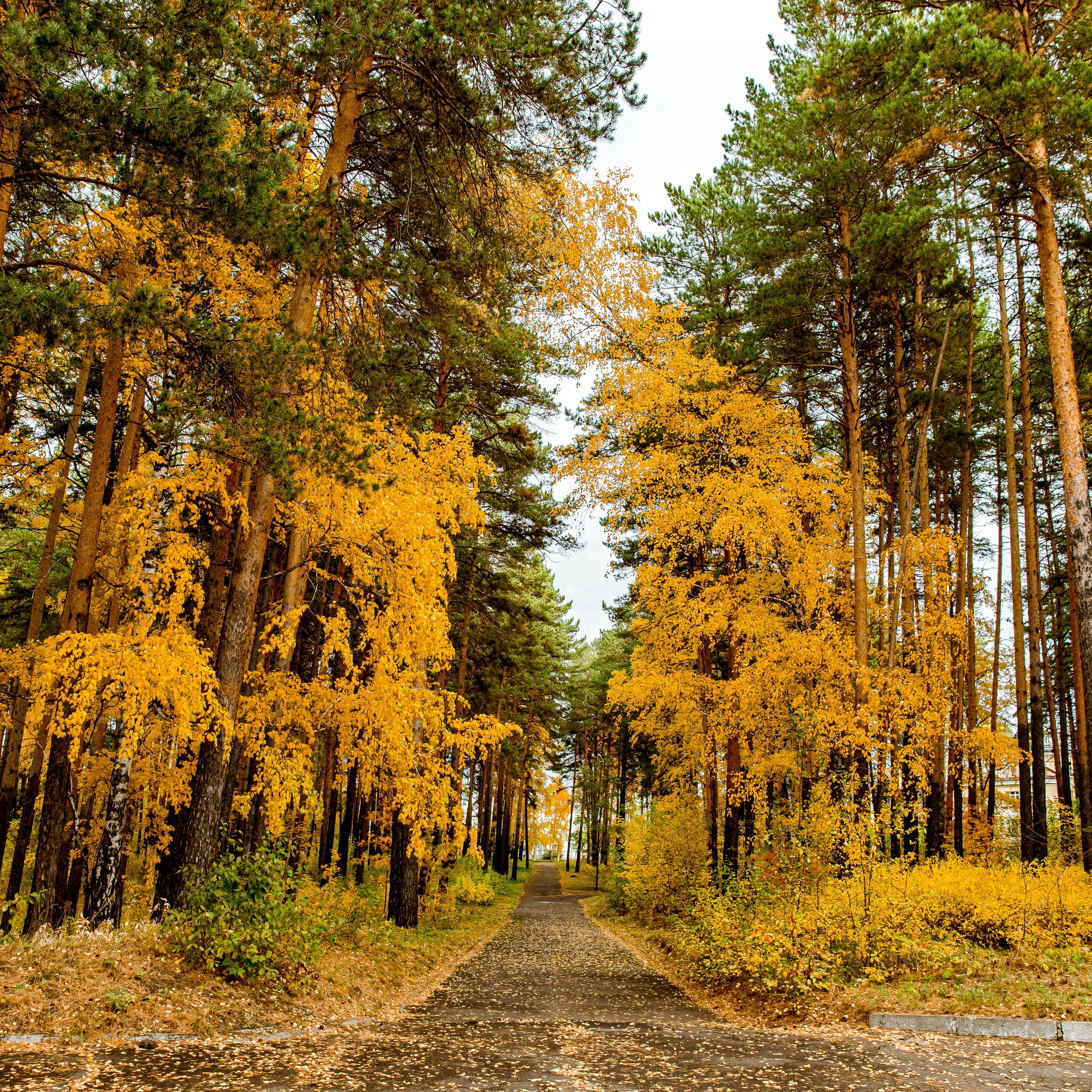 Истории. Семейный и детский фотограф в Железногорске Саламахо Ольга
