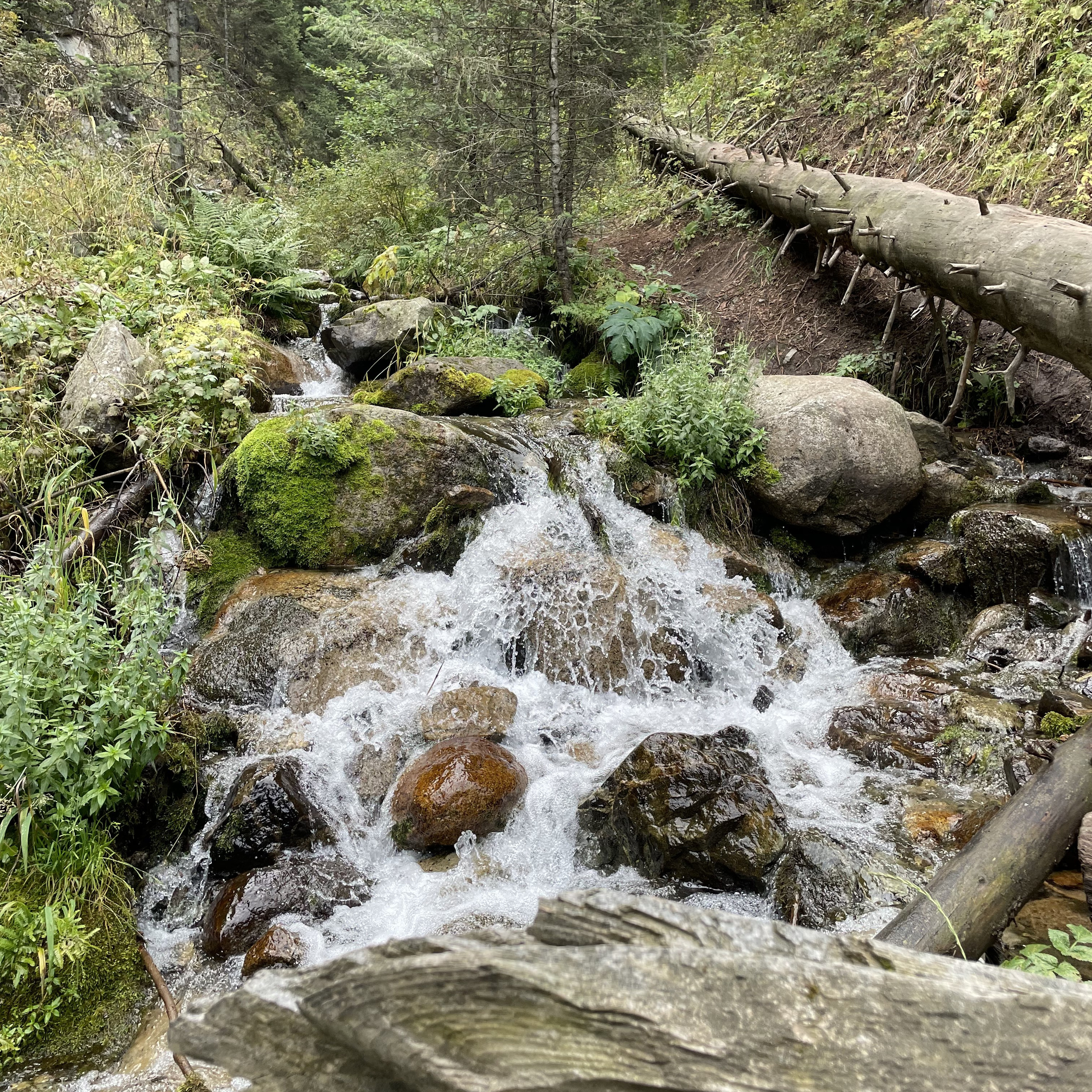 Экскурсия и тур на горячие источники Алмарасан и водопад Аюсай из Алматы