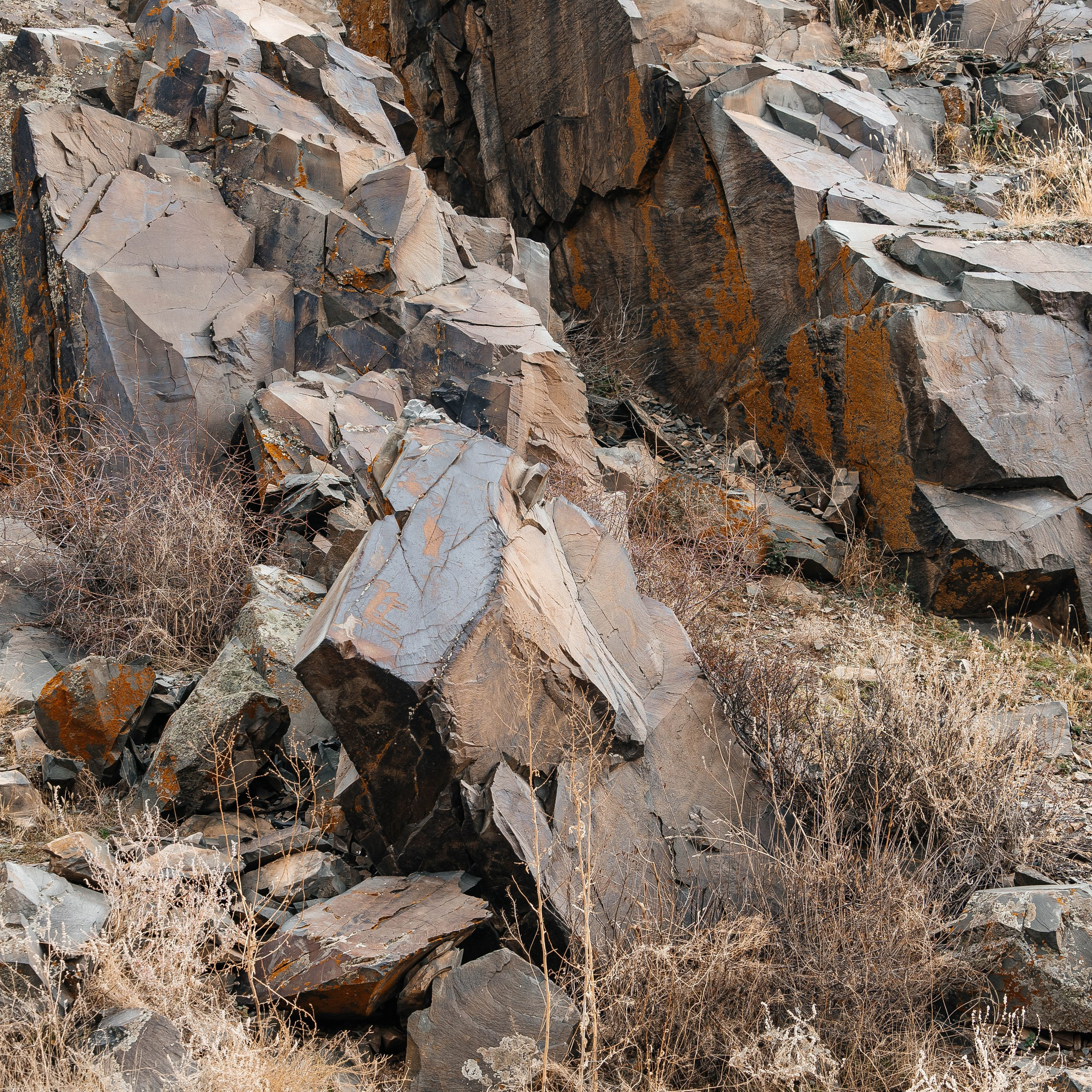 Экскурсия и тур на петроглифы Танбалы ЮНЕСКО