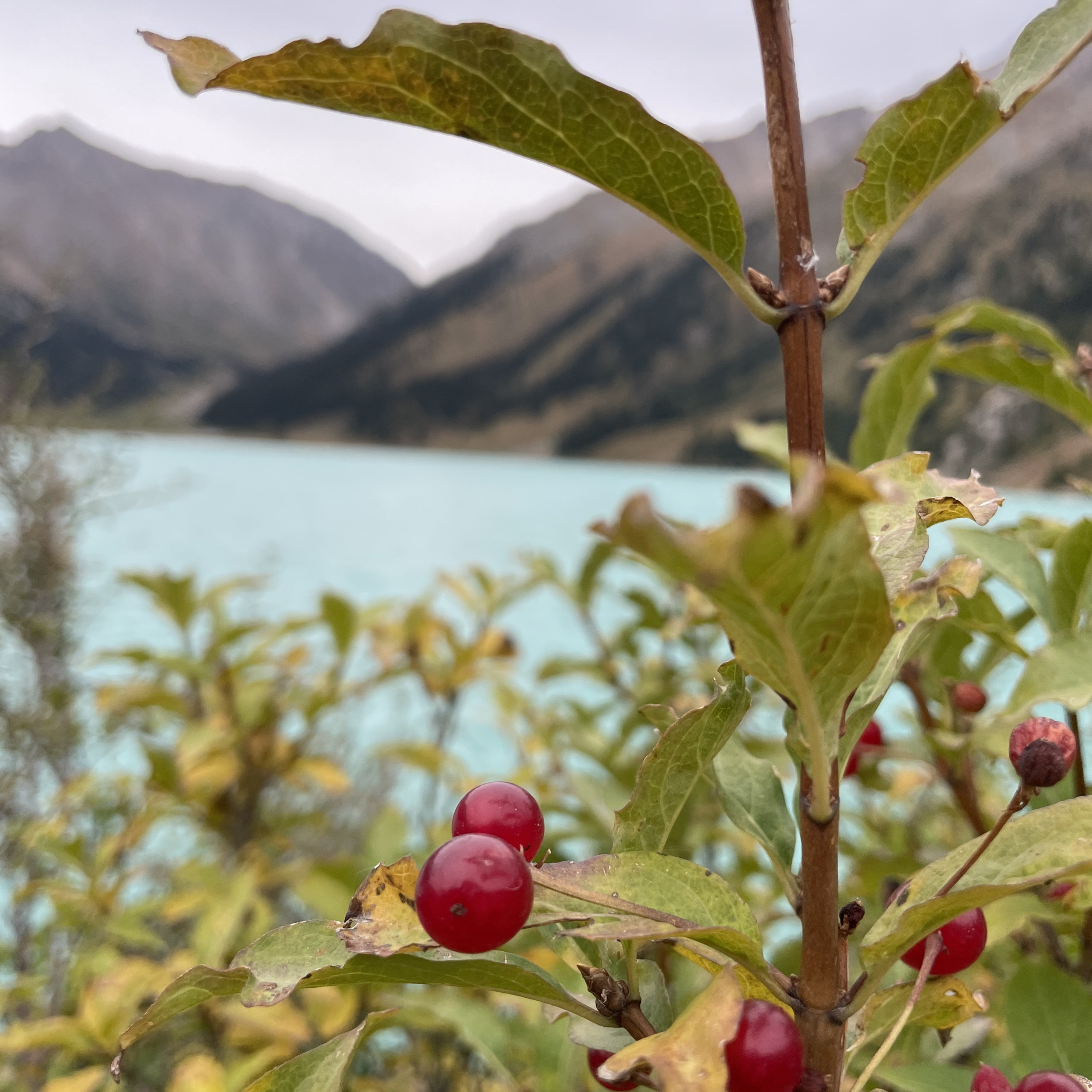 Экскурсия и тур на Большое Алматинское Озеро (БАО) и водопад Аюсай из Алматы