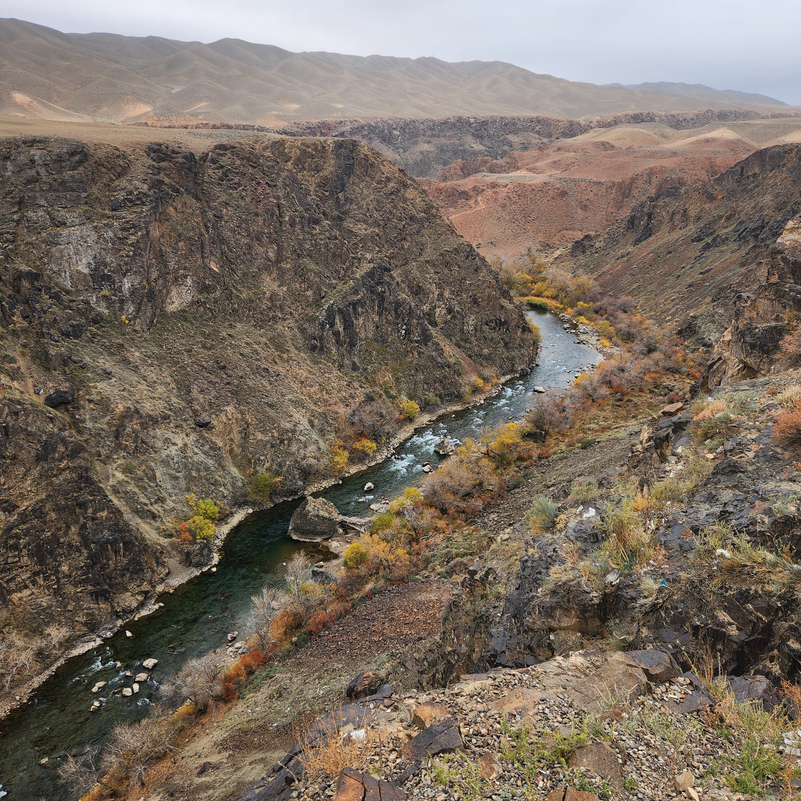 Узкая река Чарын с прозрачной водой, текущая через глубокий Черный каньон с крутыми скалистыми склонами. По берегам видна разноцветная осенняя растительность. На заднем плане — холмистый ландшафт под серым облачным небом.