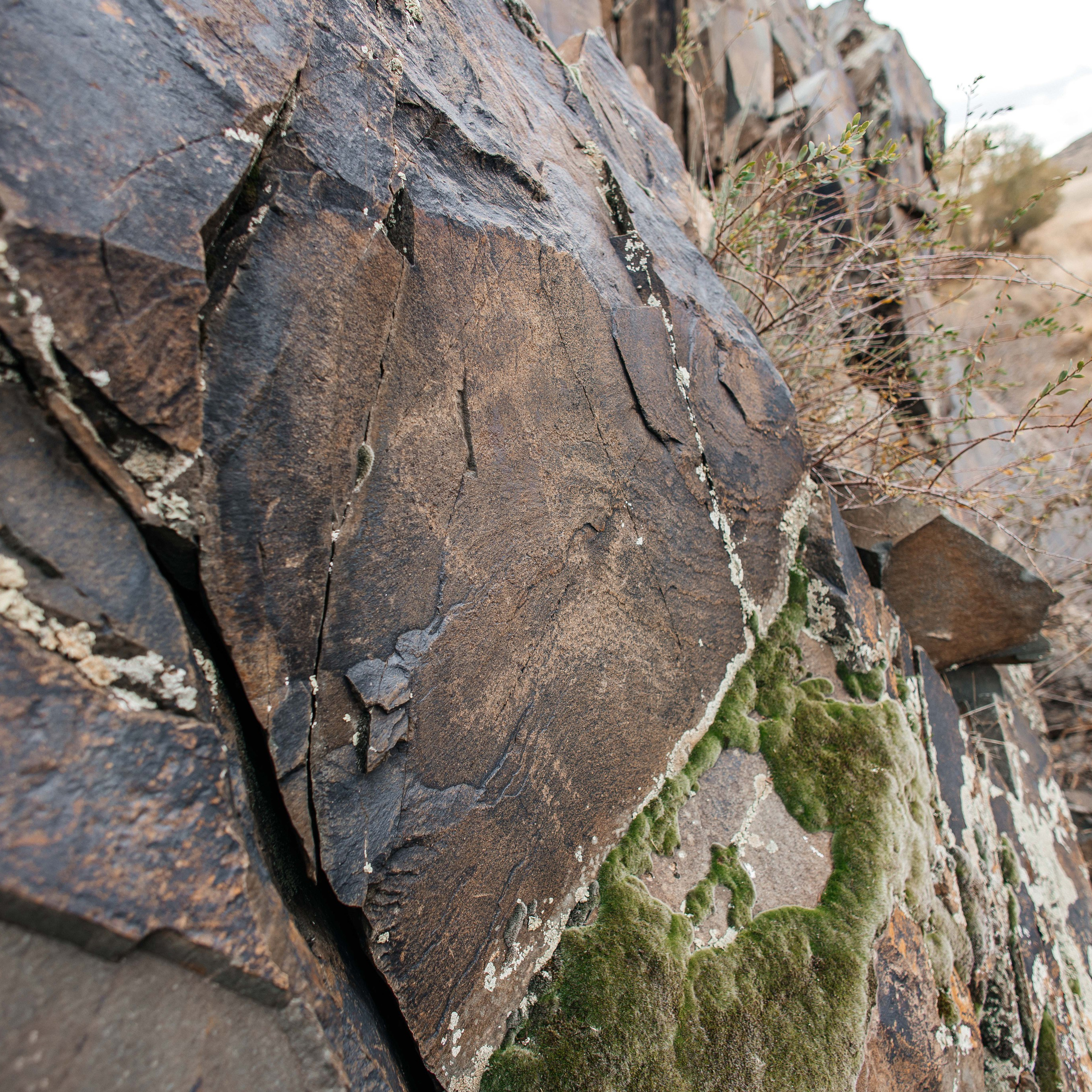 Экскурсия и тур на петроглифы Танбалы ЮНЕСКО