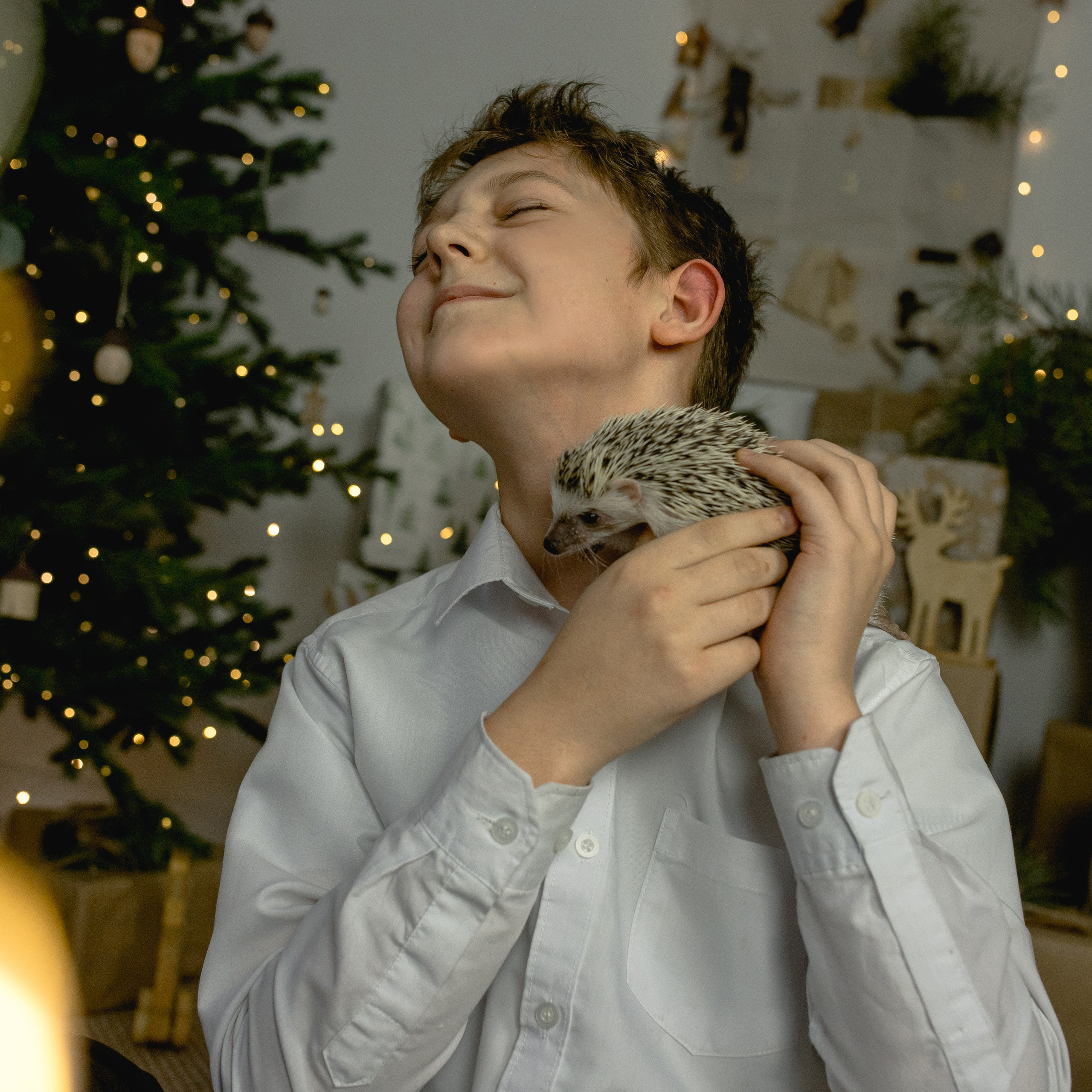 С ёжиком Кефиром. First-foto.ru