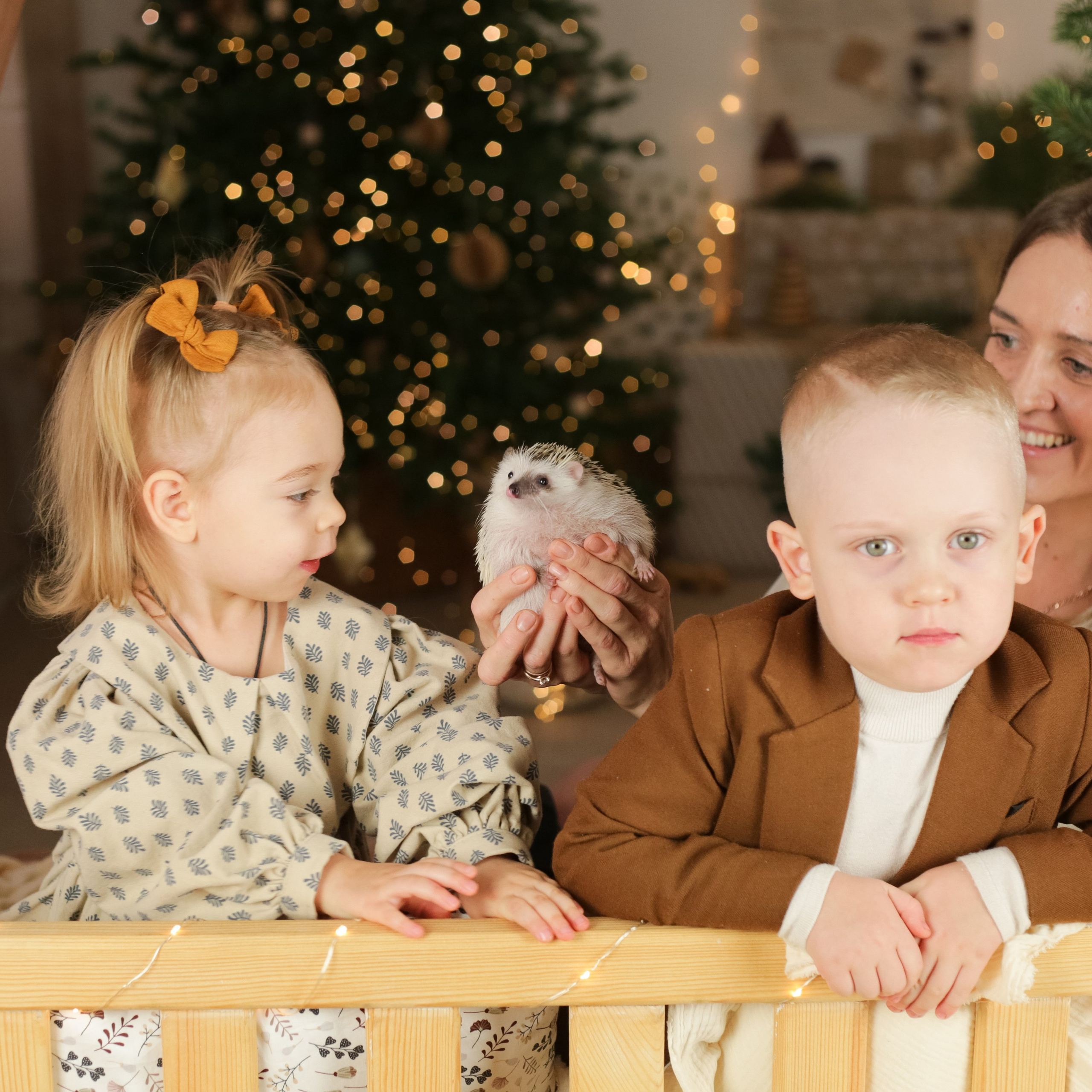 С ёжиком Кефиром. First-foto.ru