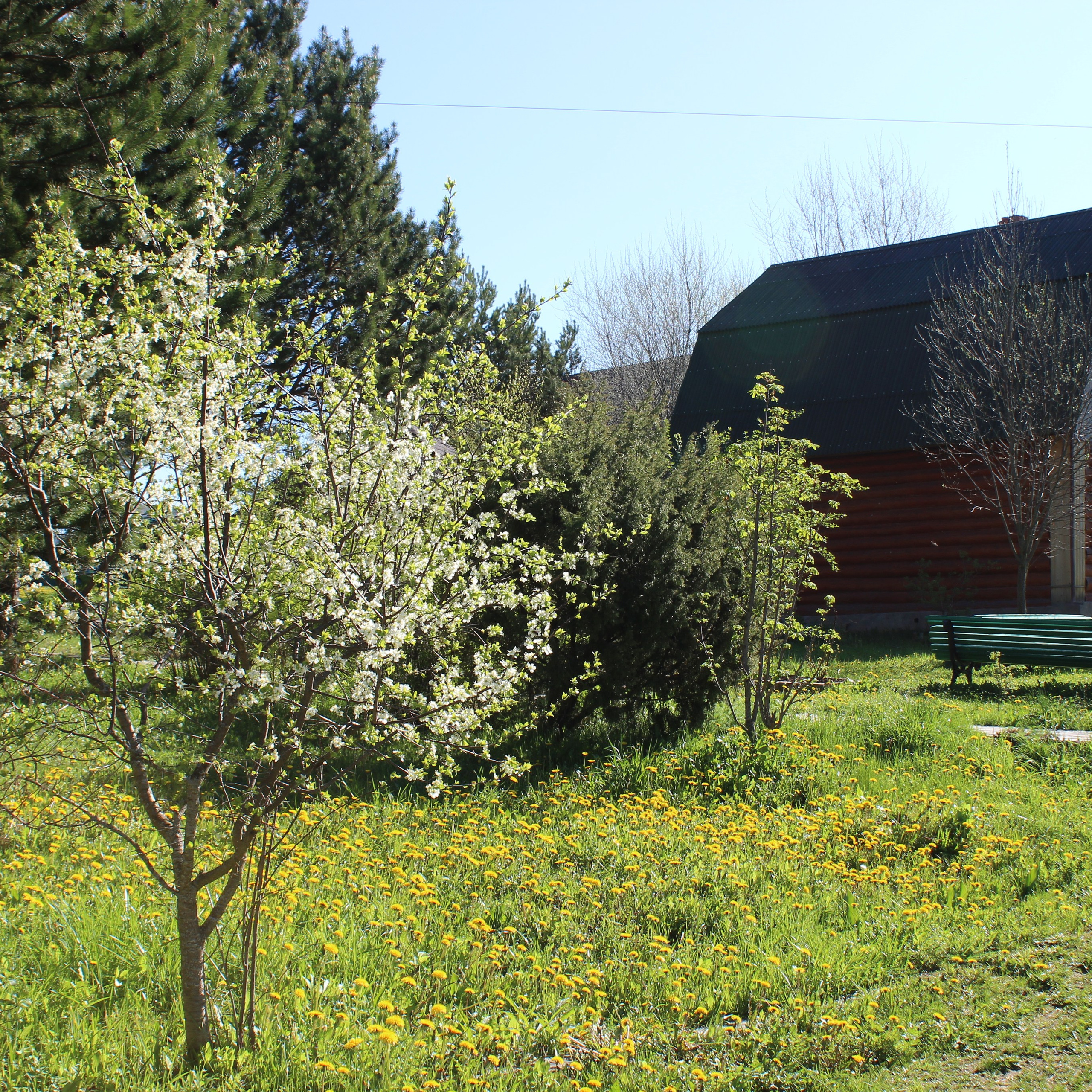 Шалово-парк Серебряные ключи. Проживание. Оздоровительный комплекс Шалово-парк Серебряные ключи